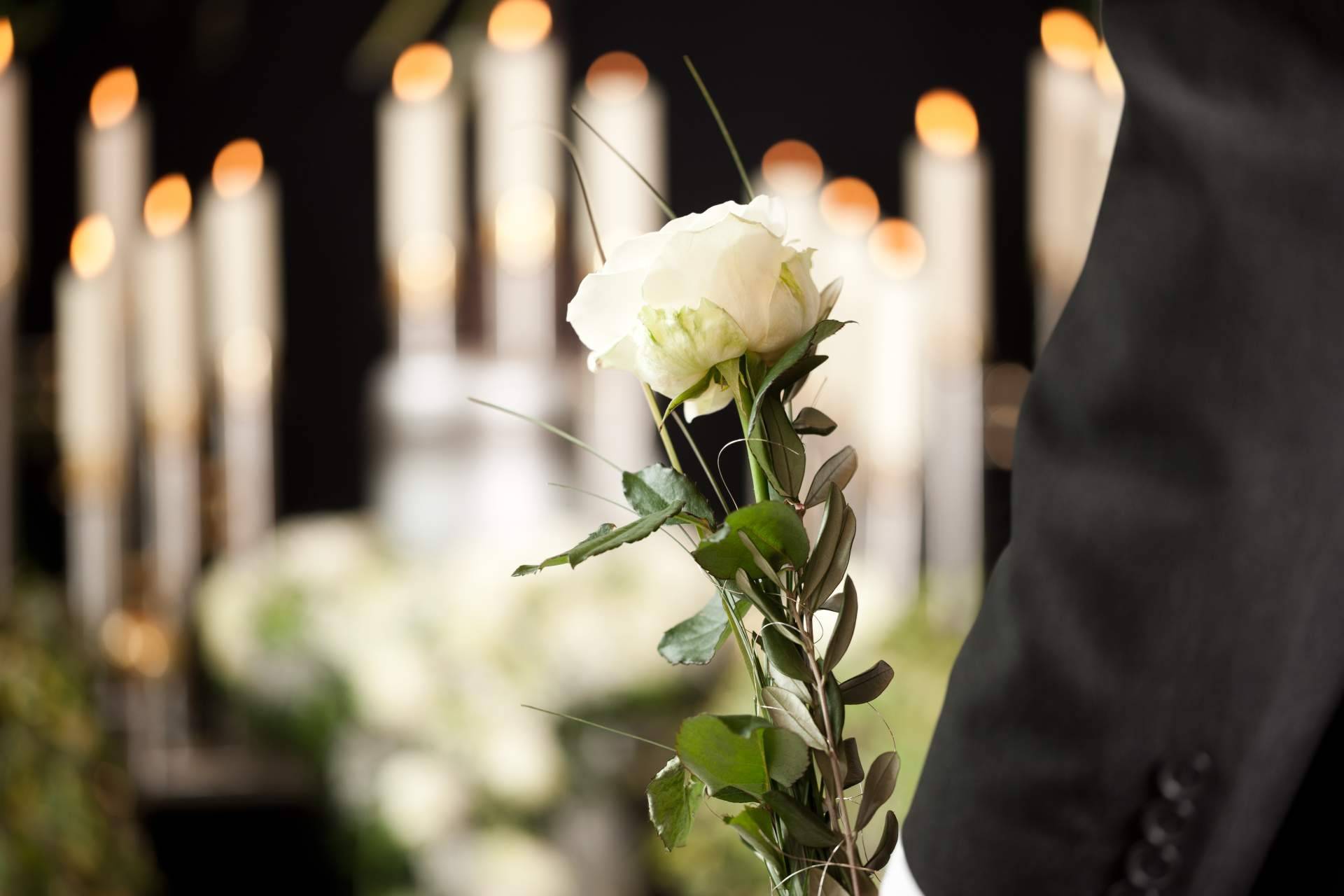 La sostenibilidad en el sector funerario, así es como se están adaptando las compañías
