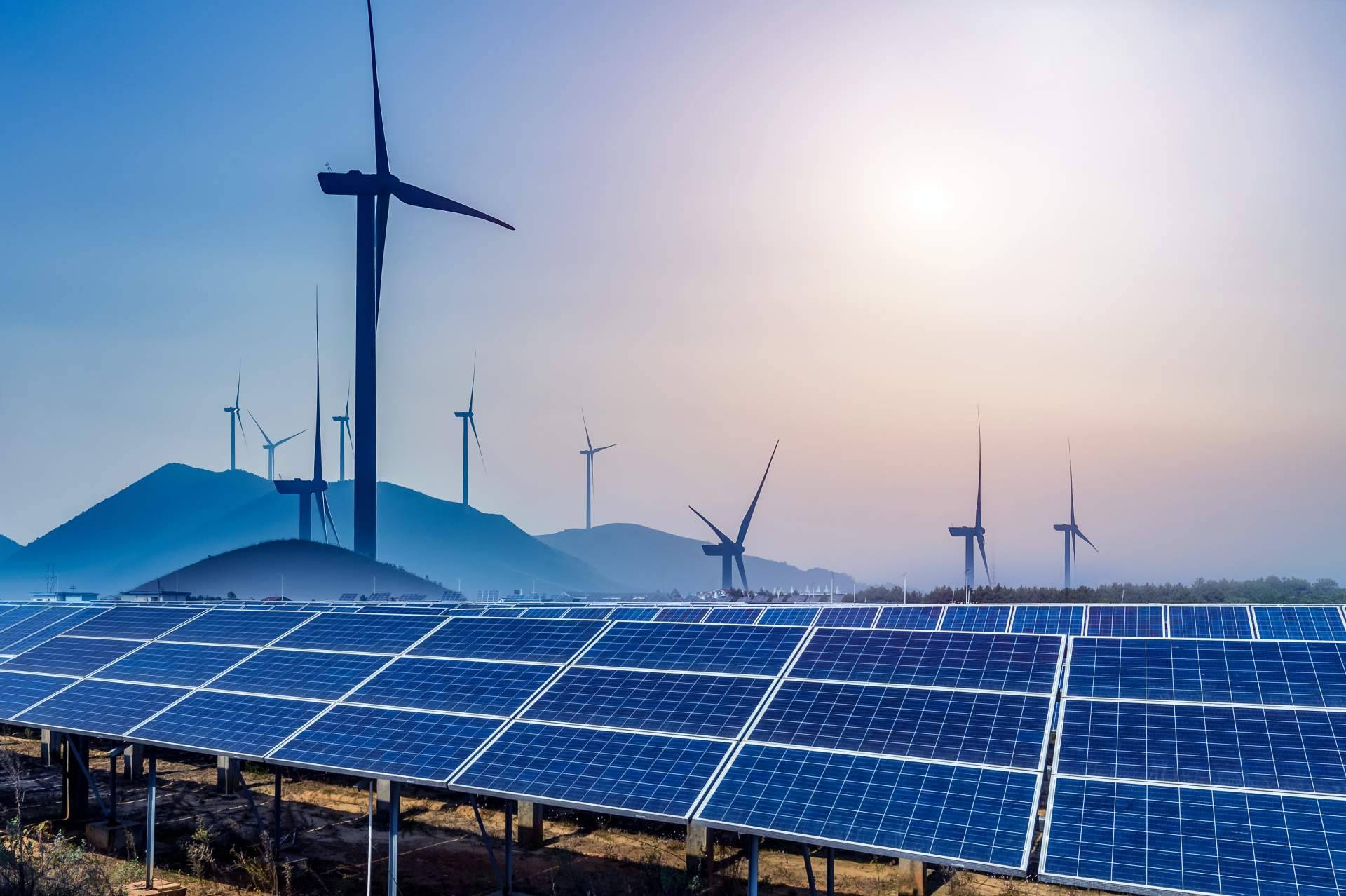 ¿Por qué son importantes los seguros de caución para las empresas de energías renovables de hoy? Consorcio Europeo de Avales lo explica