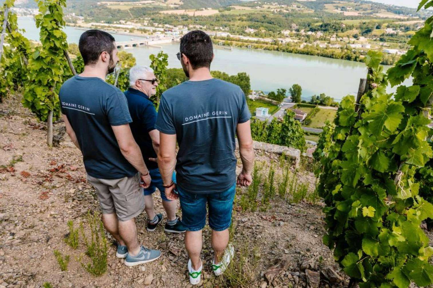 Una de las vinotecas con más vinos únicos de España, La Tintorería