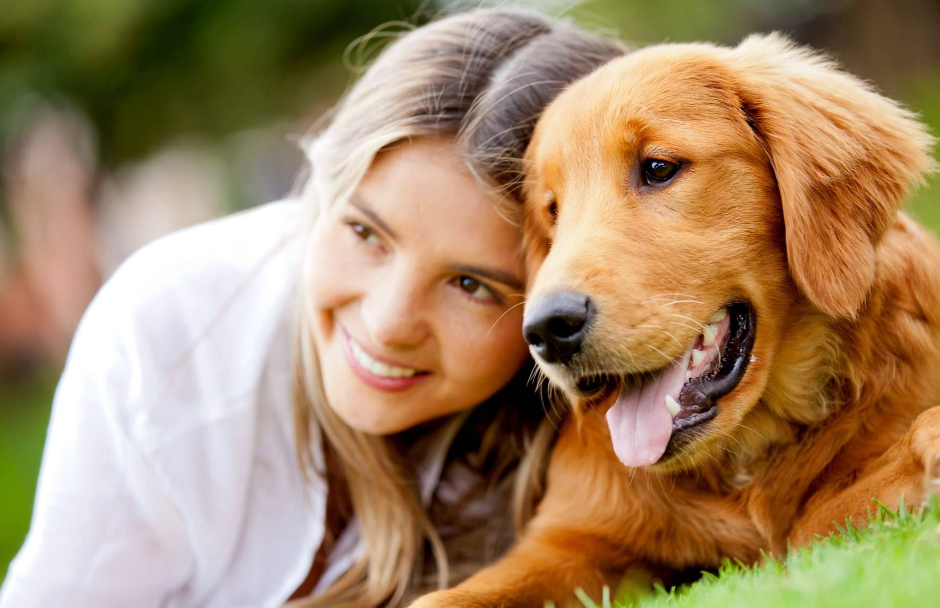 Ginqo, la nueva marca de pienso natural para perros y gatos a base de proteína de insecto