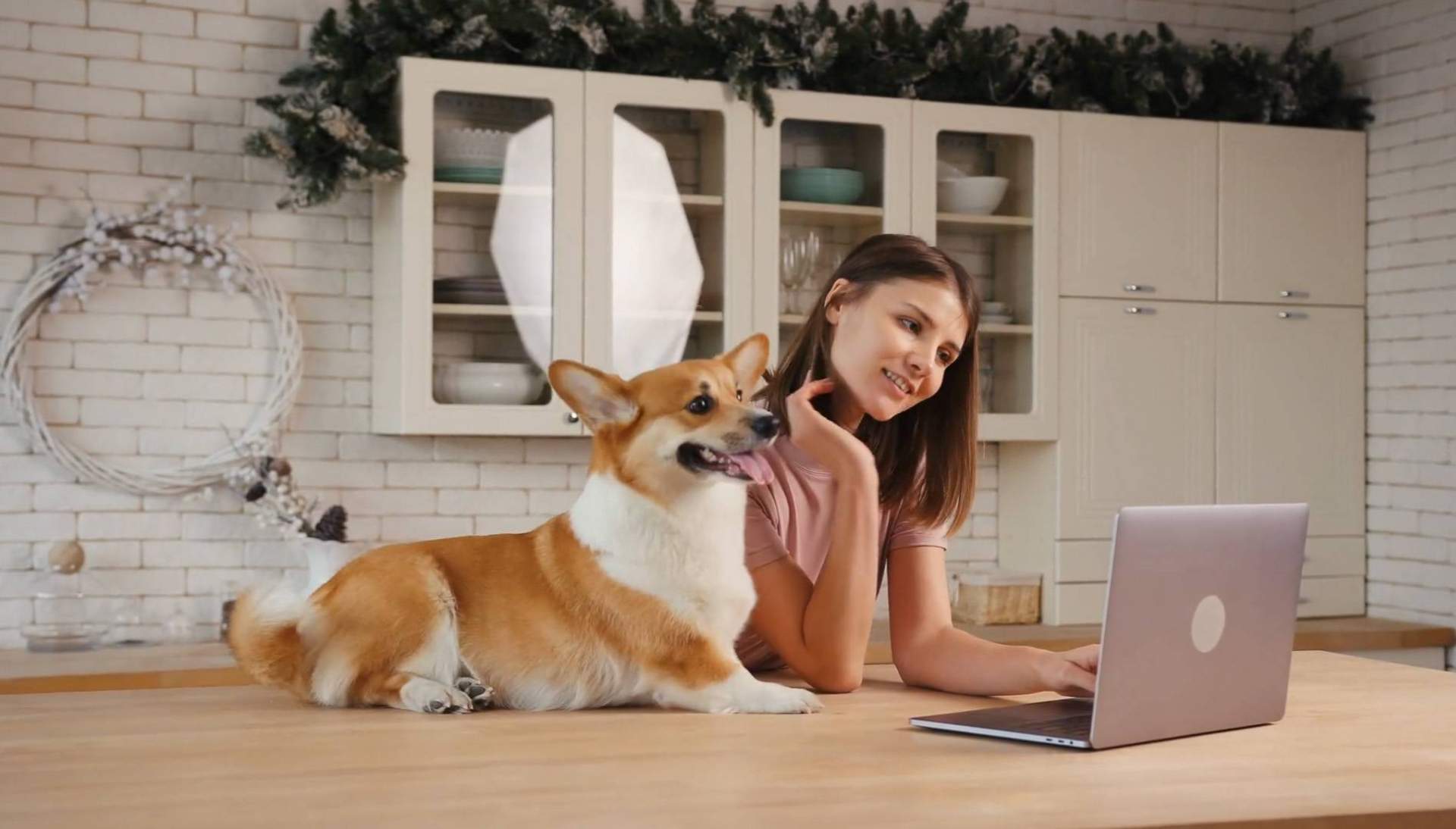 Según Wolves Legacy, 'Buscamos una agencia de marketing con experiencia y completa, y la encontramos'