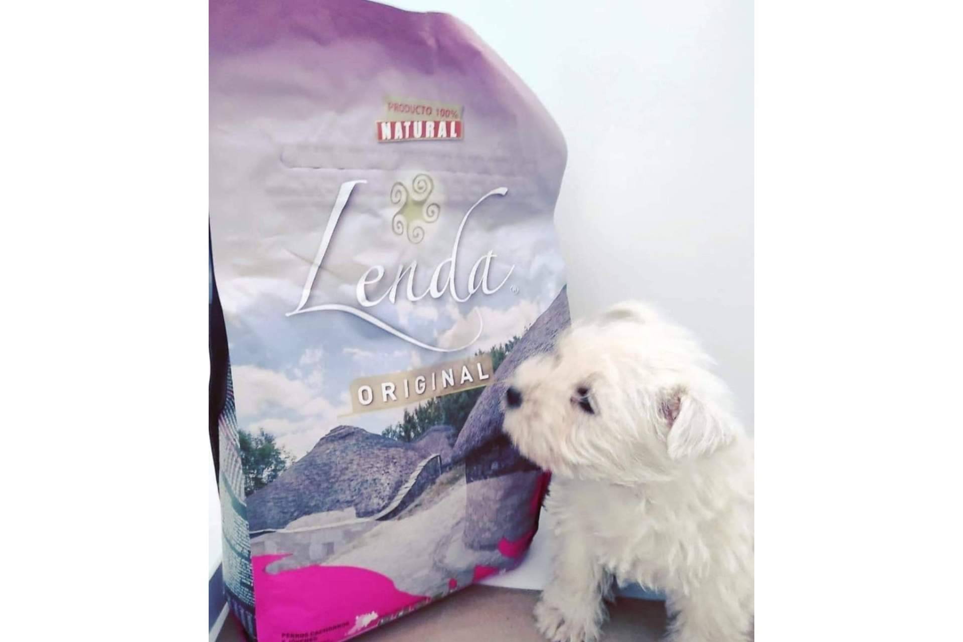 La importancia de la correcta alimentación de los cachorros con Lenda