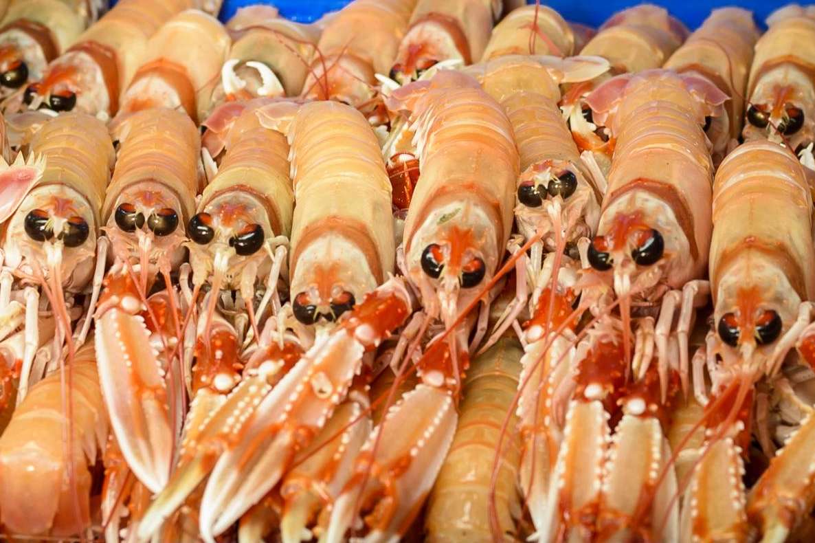 La tienda Lonja de Ayamonte expone los principales beneficios de consumir cigalas