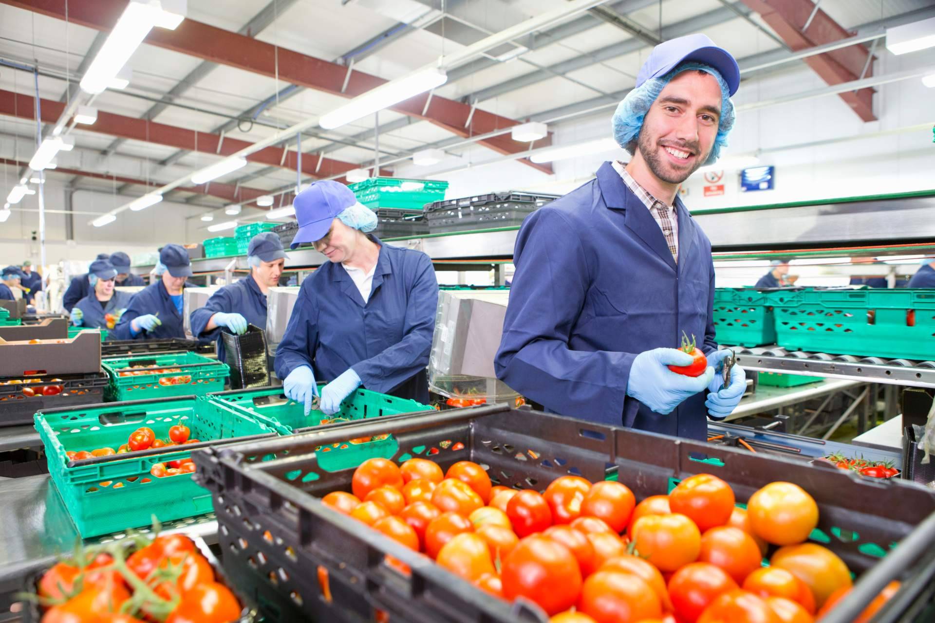 Overtel permite aumentar la productividad con la automatización de los procesos en una fábrica