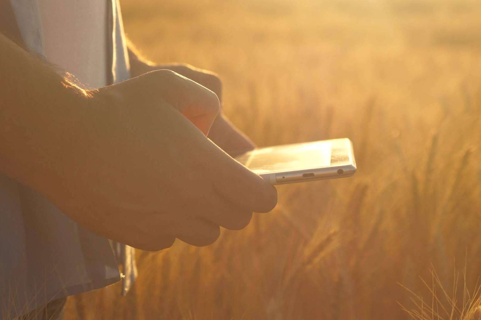 El software de Certitec que permite optimizar la gestión de las explotaciones agrícolas y agropecuarias en España, ERP Cuadernos de Explotación