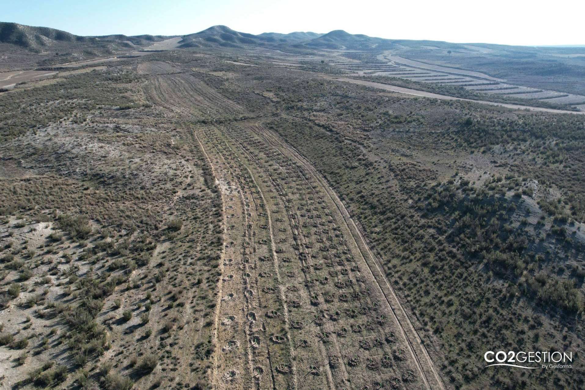 Fundación Alcoraz e ICT Ibérica crean un nuevo bosque en Zaragoza