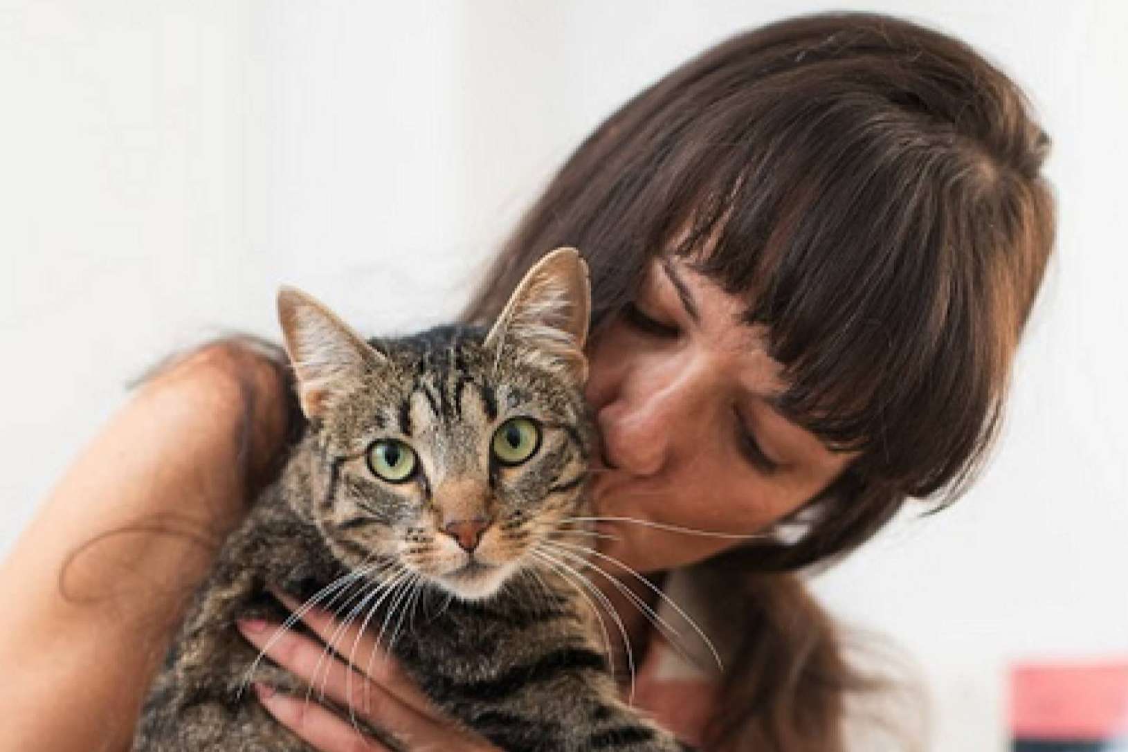 Ginqo ofrece a las mascotas un alimento hipoalergénico, sin gluten y ecológico
