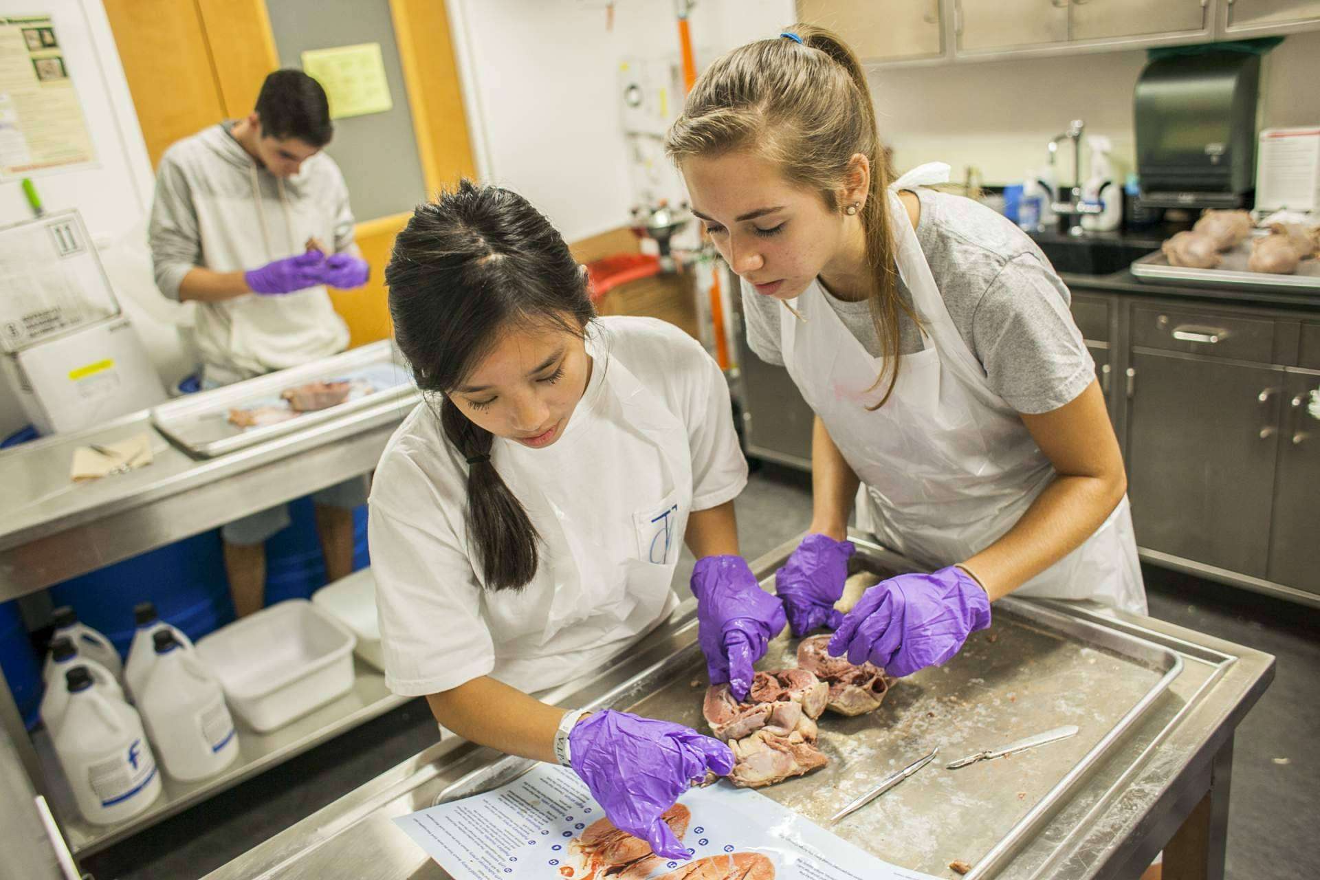 Vivir una experiencia en el extranjero con los cursos Pre-College de Round The World Spain