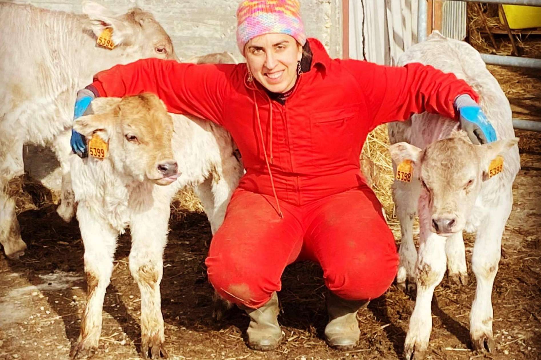 Los productos de alta calidad que ofrece Tu Ternera en Casa para alimentarse de forma saludable