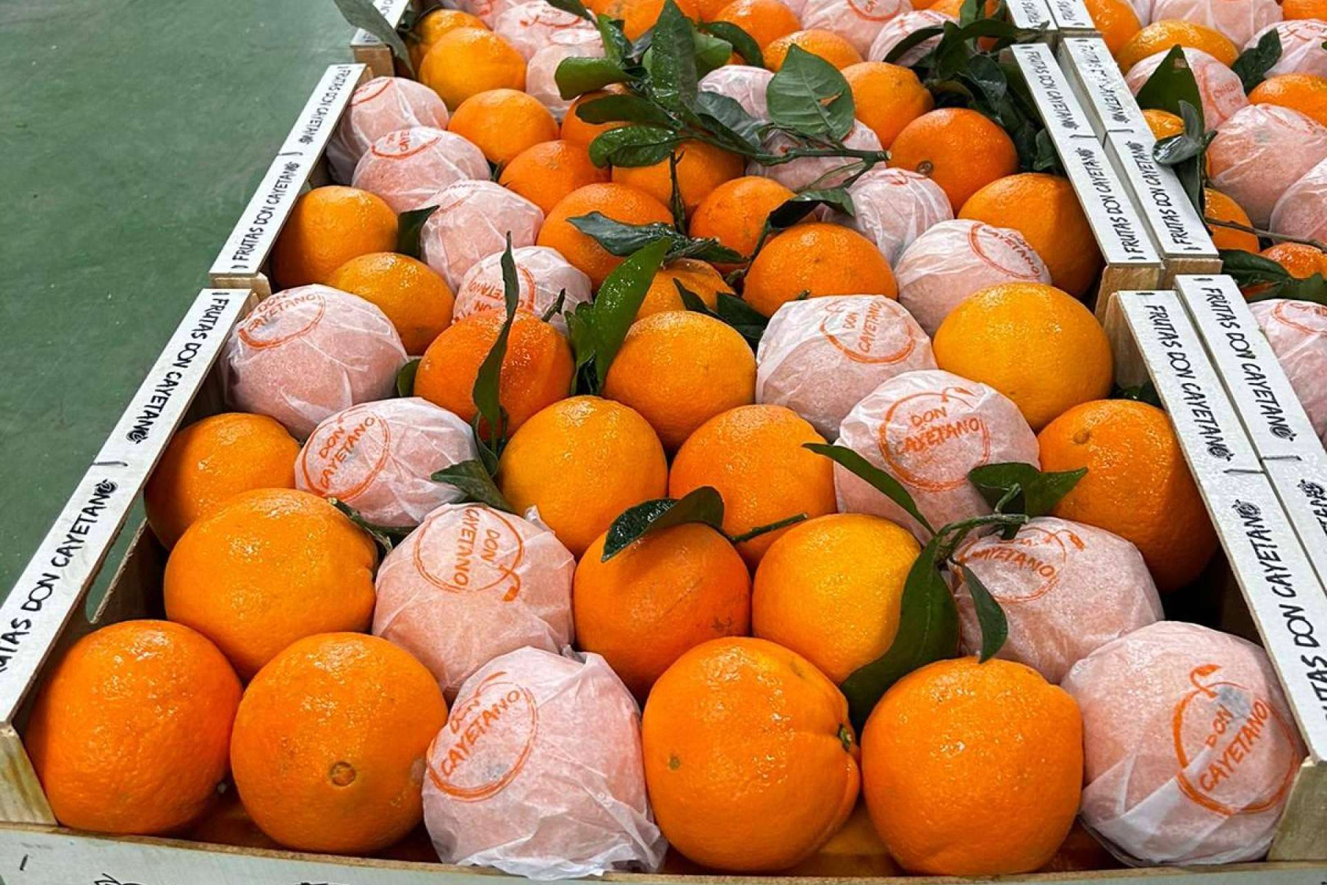Frutas Don Cayetano, la compañía experta en la exportación de frutas de hueso y cítricos