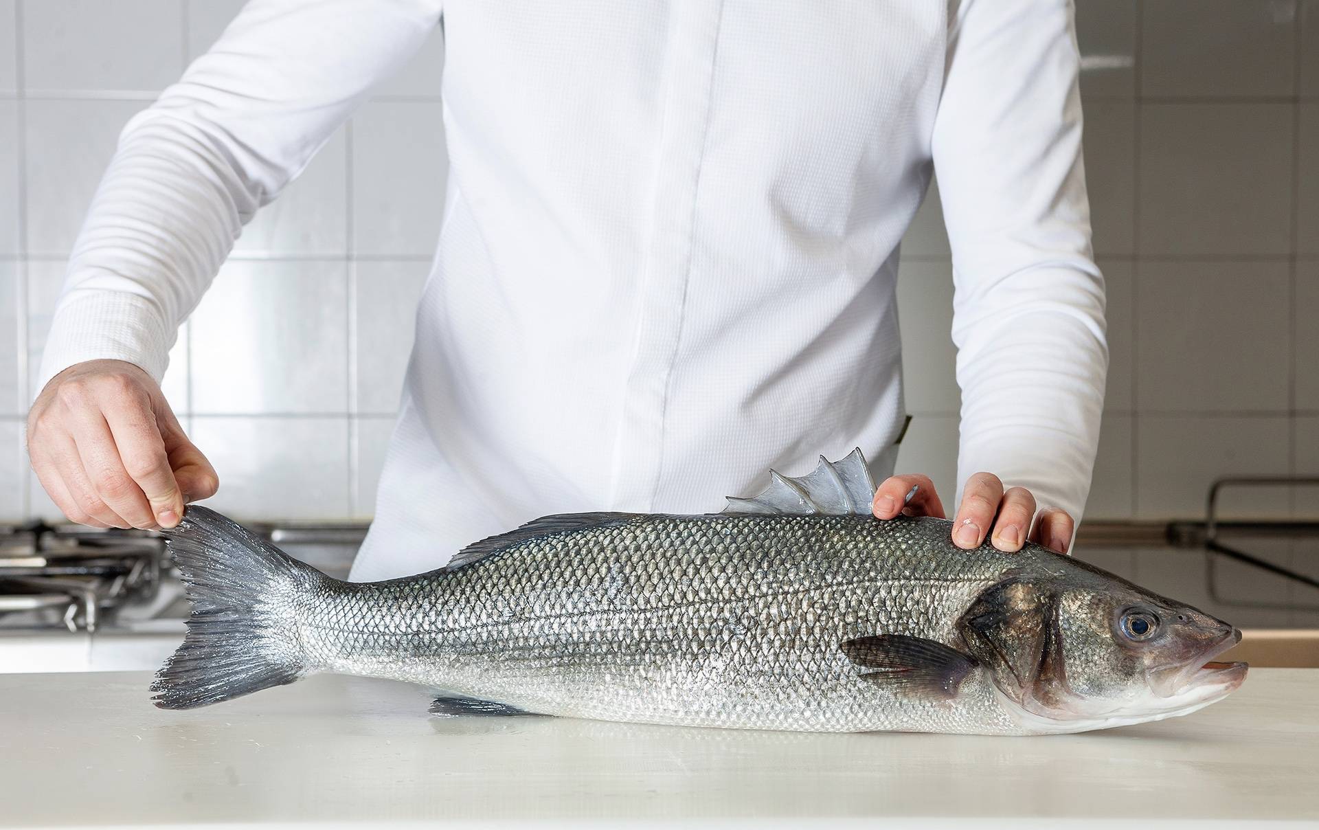 Aquanaria en Madrid fusión alimentos de España 2023