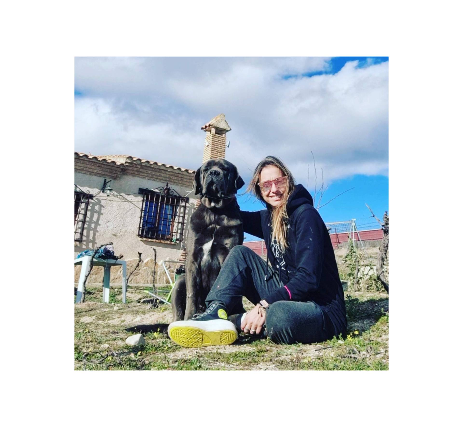 En la guardería canina PERROBUENO los animales pueden aprender comportamientos nuevos