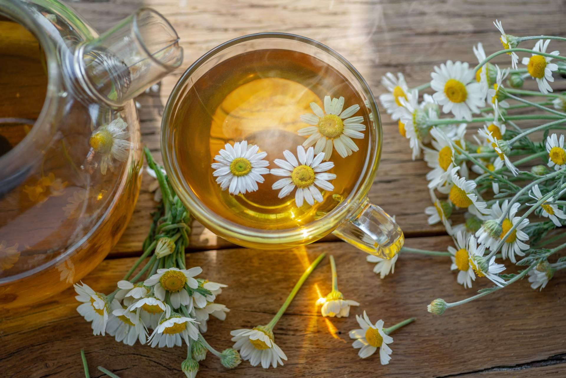 Los productos de nutricosmética de Theriac Wellness permiten cuidarse por dentro y por fuera