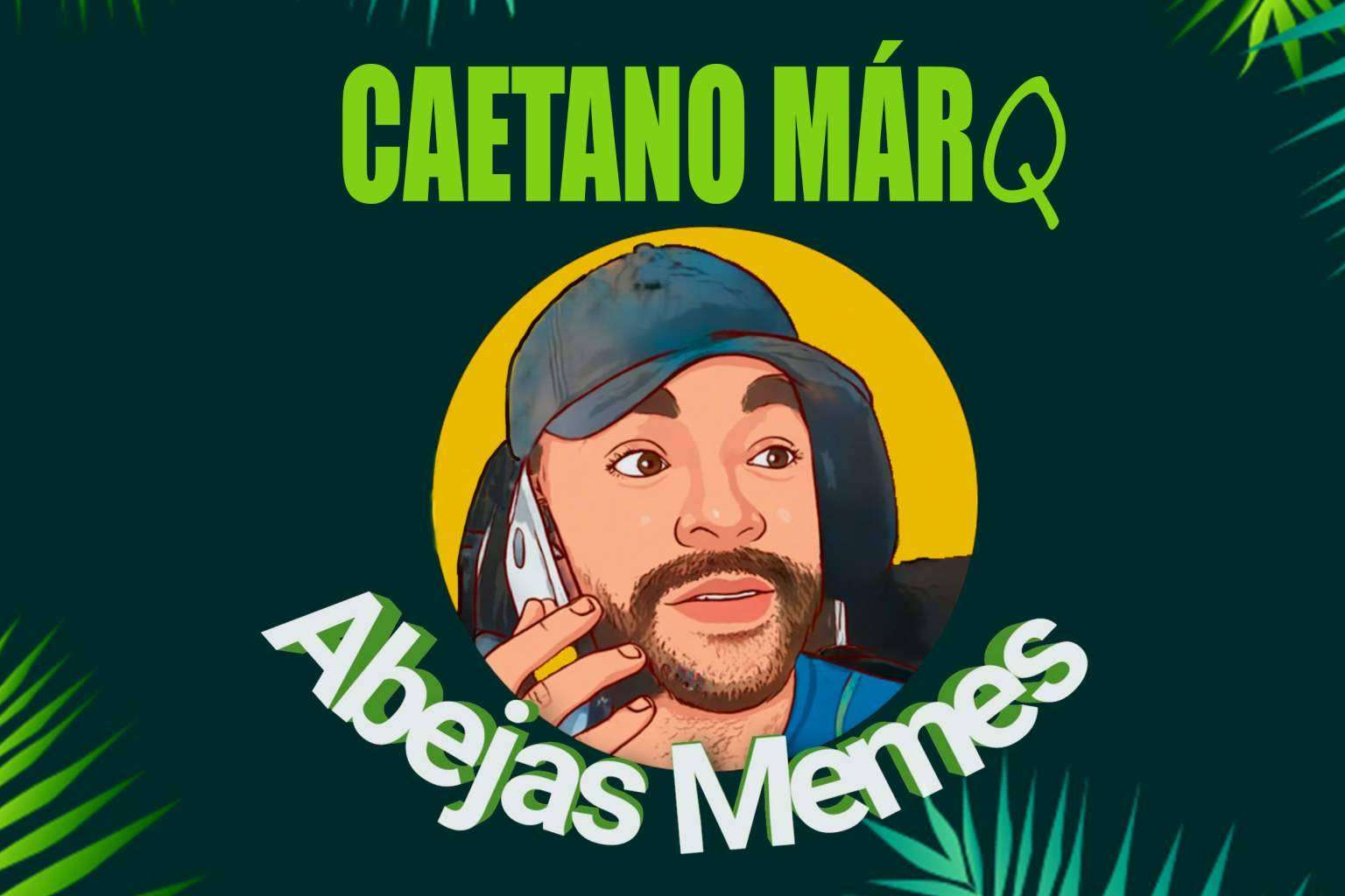 Abejas Memes y su éxito