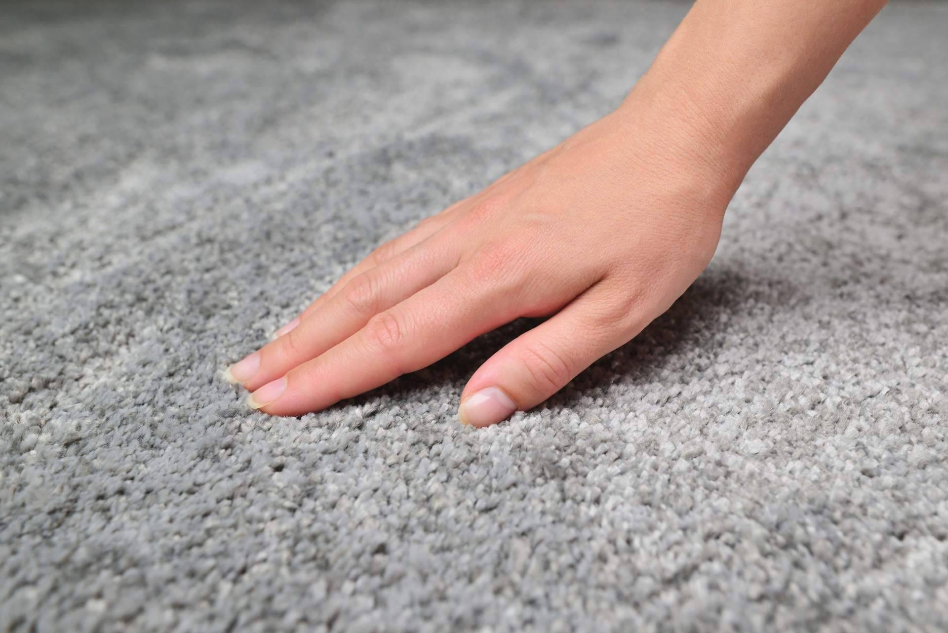 ¿Qué funciones cumplen las alfombras en cada habitación?, con Alfombras y Cortinas