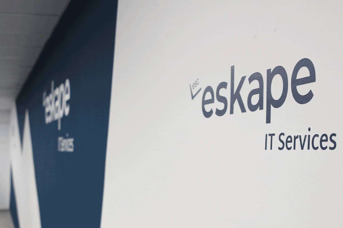 La máquina y el humano, condenados a entenderse en los negocios. Eskape son especialistas en ello