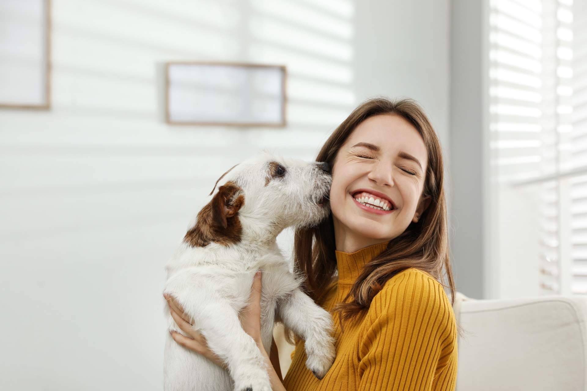 DogCareBcn señala lo fundamental que es la educación canina, sin importar la raza o tamaño