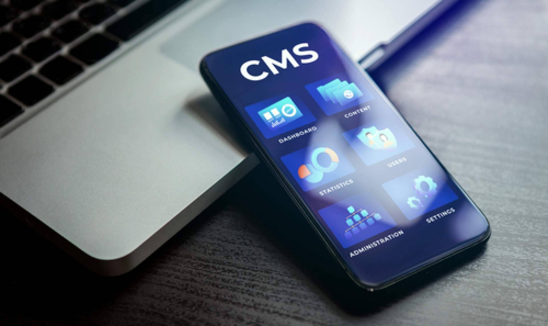 Seguridad en los CMS para prevenir vulnerabilidades