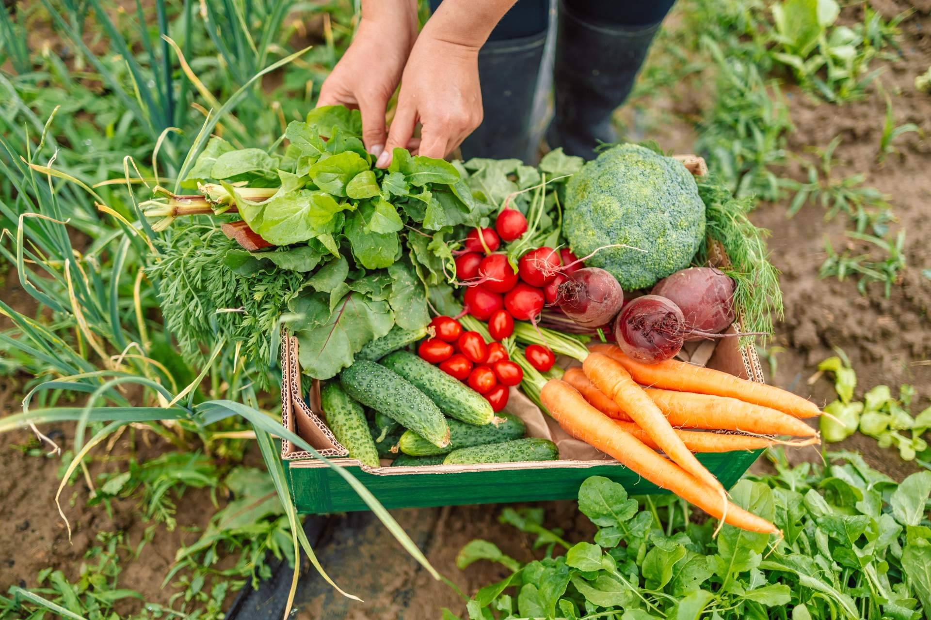 Disminución del consumo de alimentos ecológicos