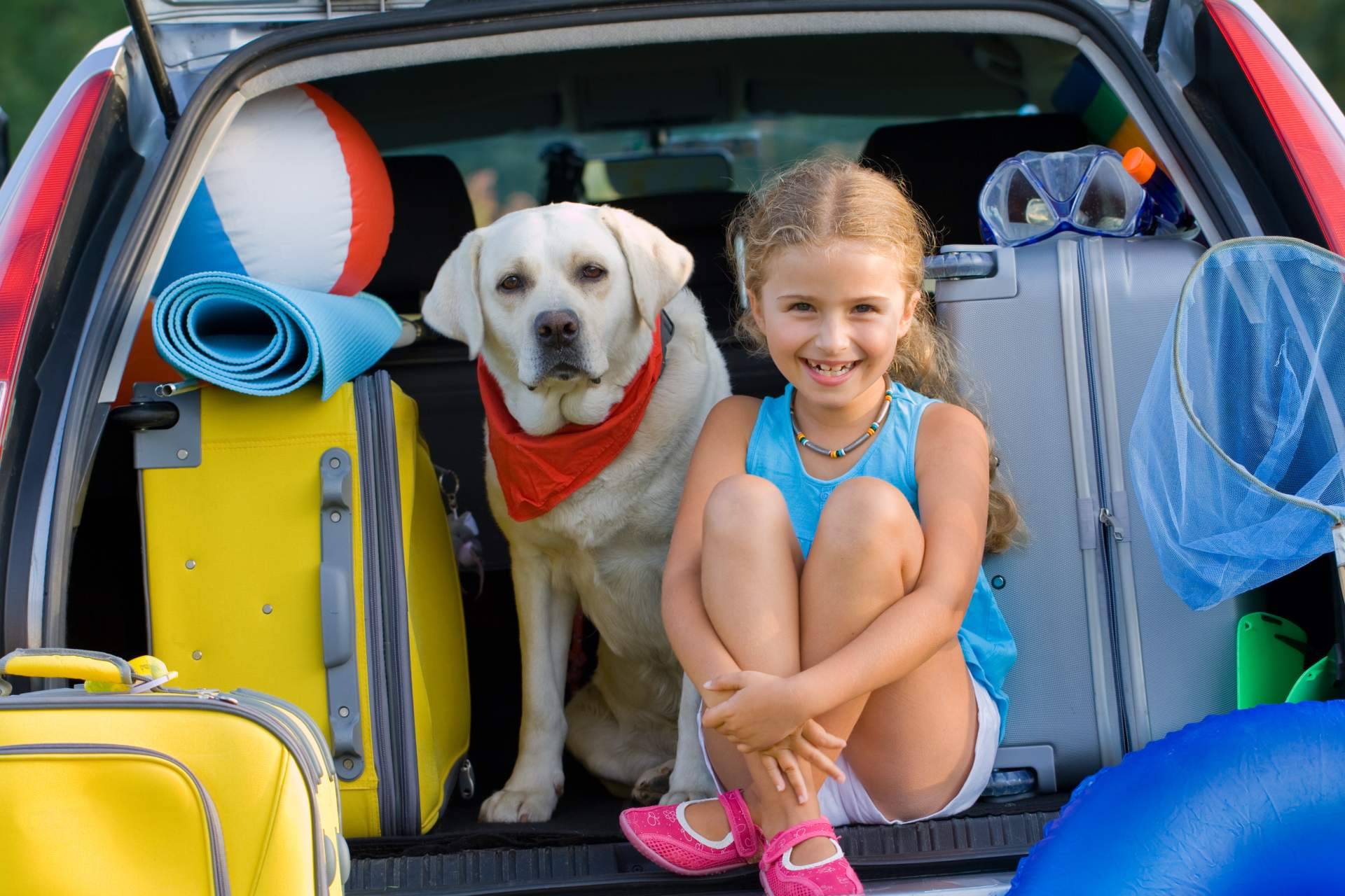 Consejos para planificar las vacaciones cuando hay animales de compañía en la familia