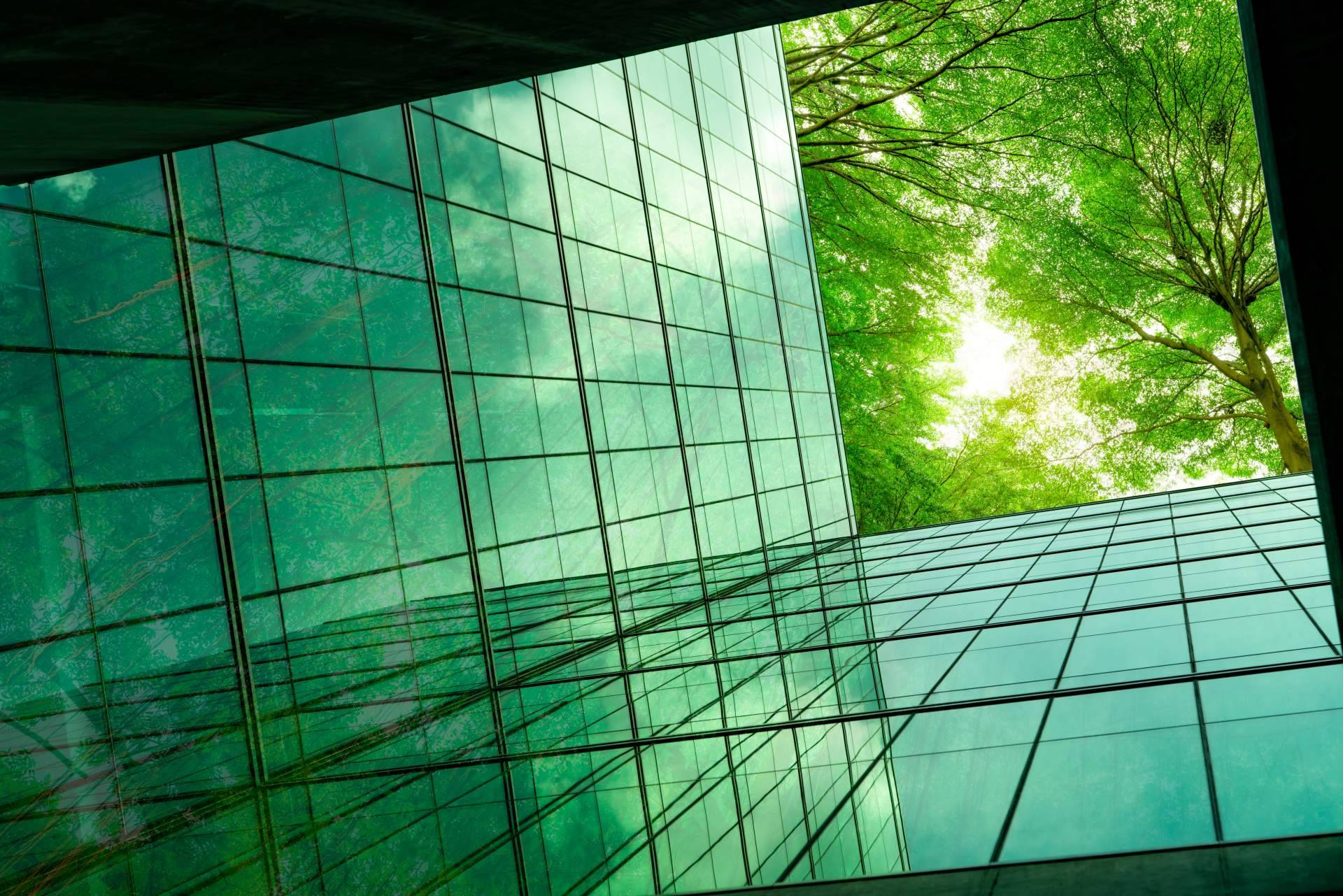 Multienergía Verde propone las mejores alternativas ante el fin de las calderas de combustibles fósiles en 2029