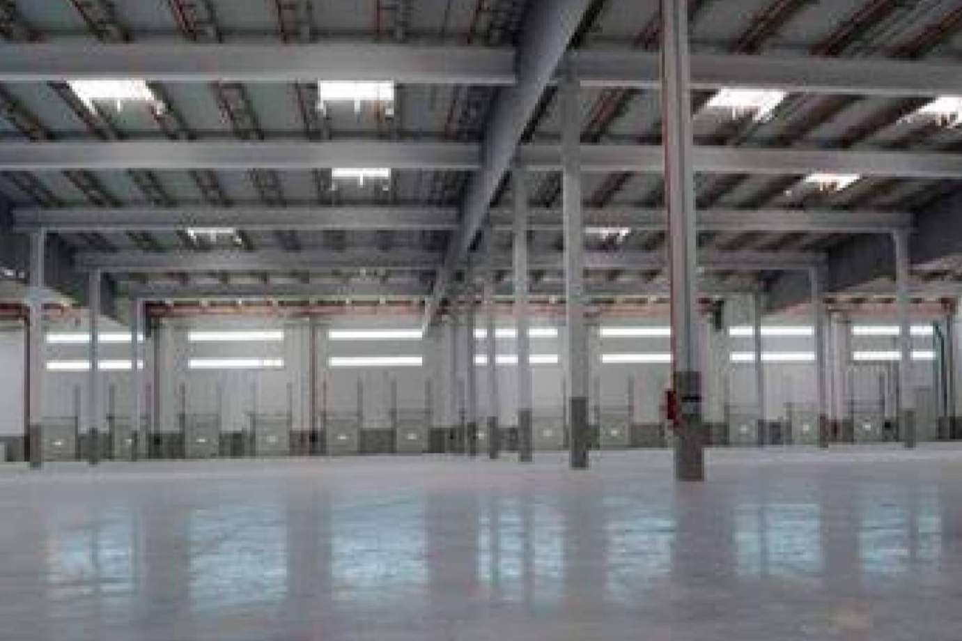 Industrial Properties, una empresa inmobiliaria enfocada en las ventas de bodega comercial