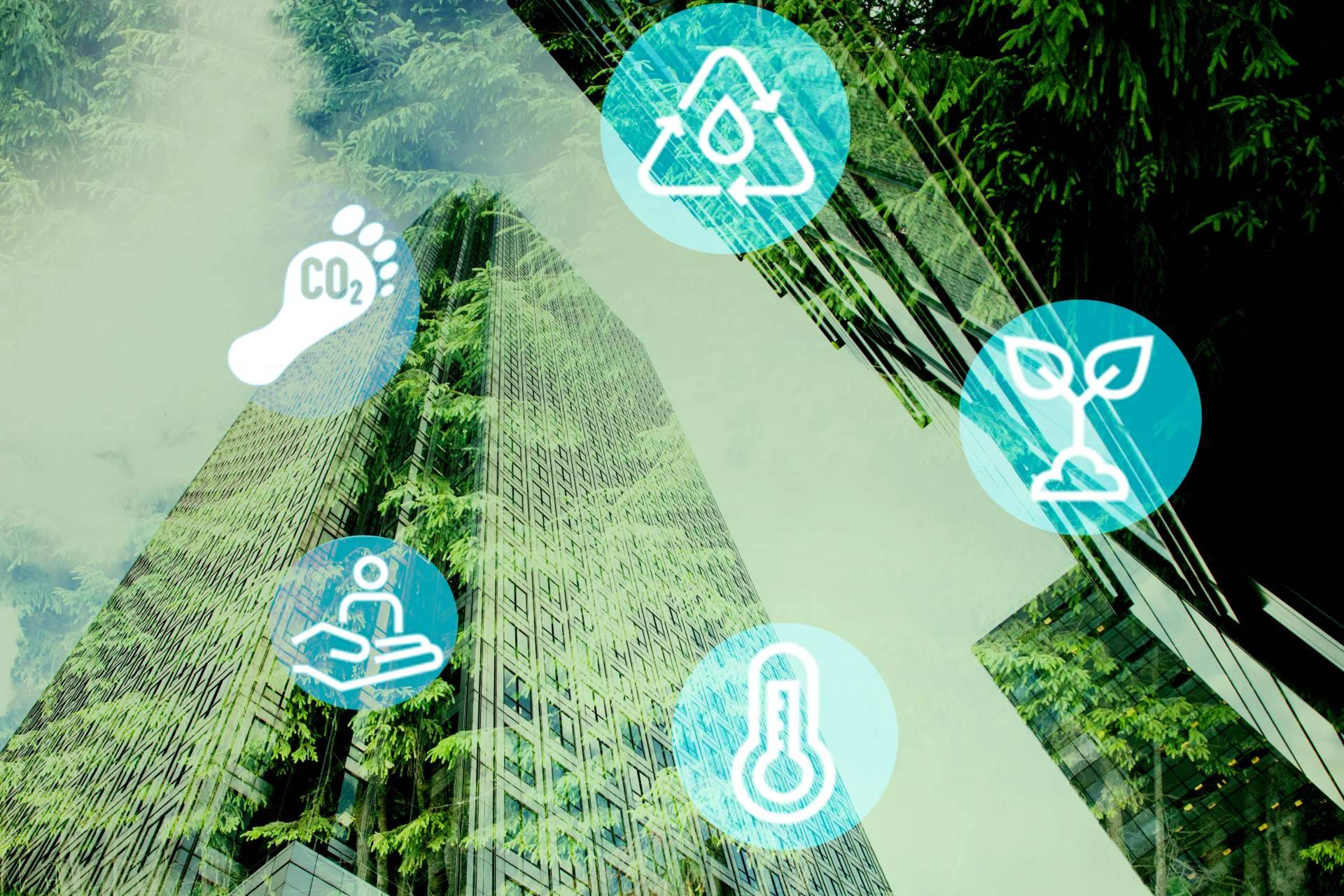 Asernorma, consultoría experta en calidad, medioambiente y Responsabilidad Social Corporativa