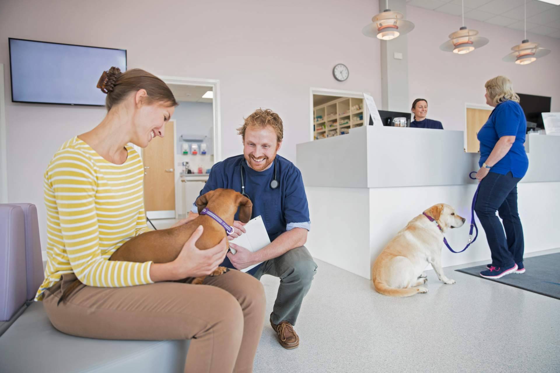 Descubrir el buscador pet friendly de ADOPTA y encontrar los mejores sitios para disfrutar con el perro