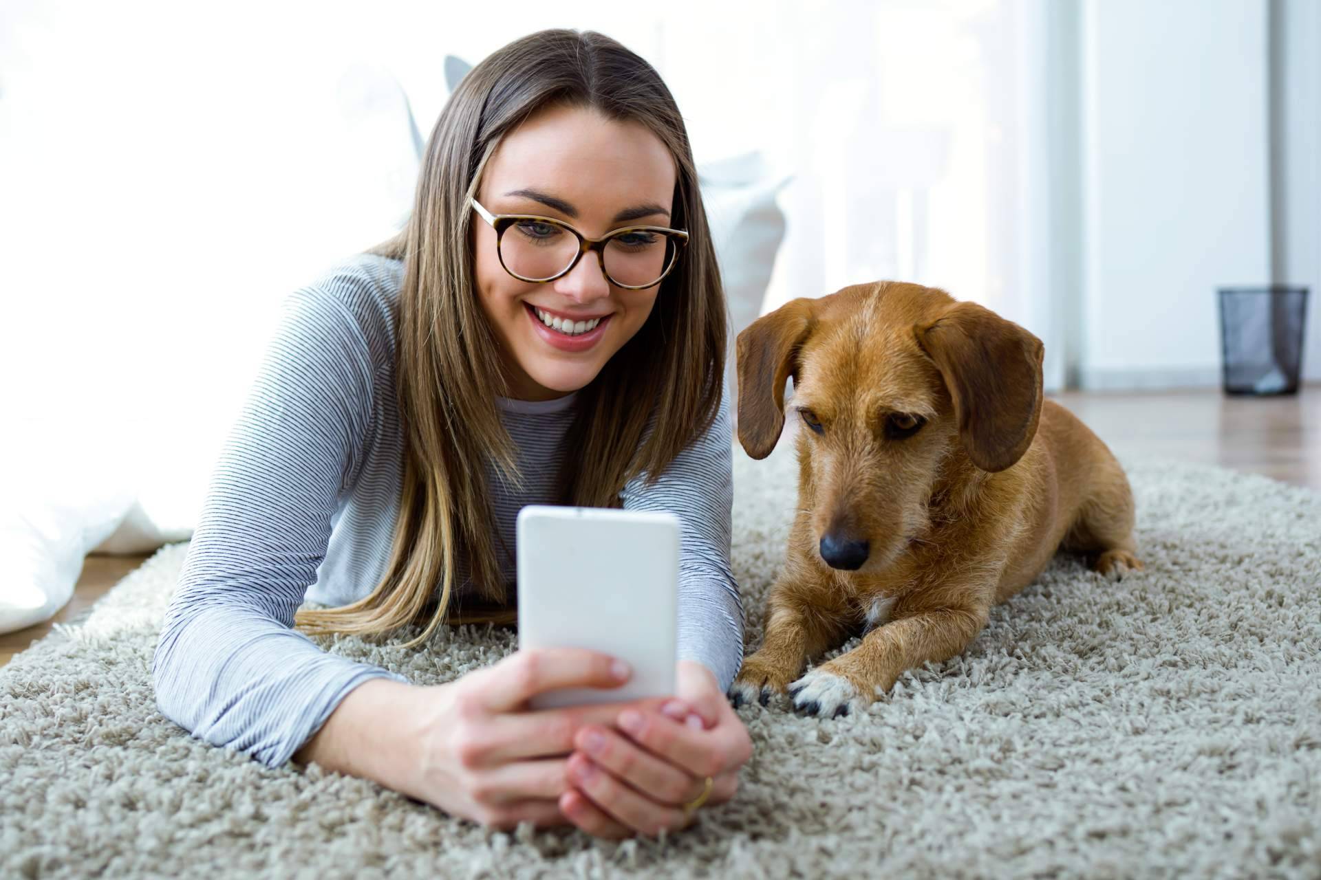 ClickGuau, el TikTok para mascotas que ofrece centenares de vídeos graciosos de animales