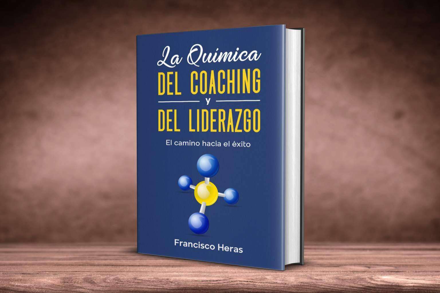 Heras Coaching, formación en toma de decisiones para empresas