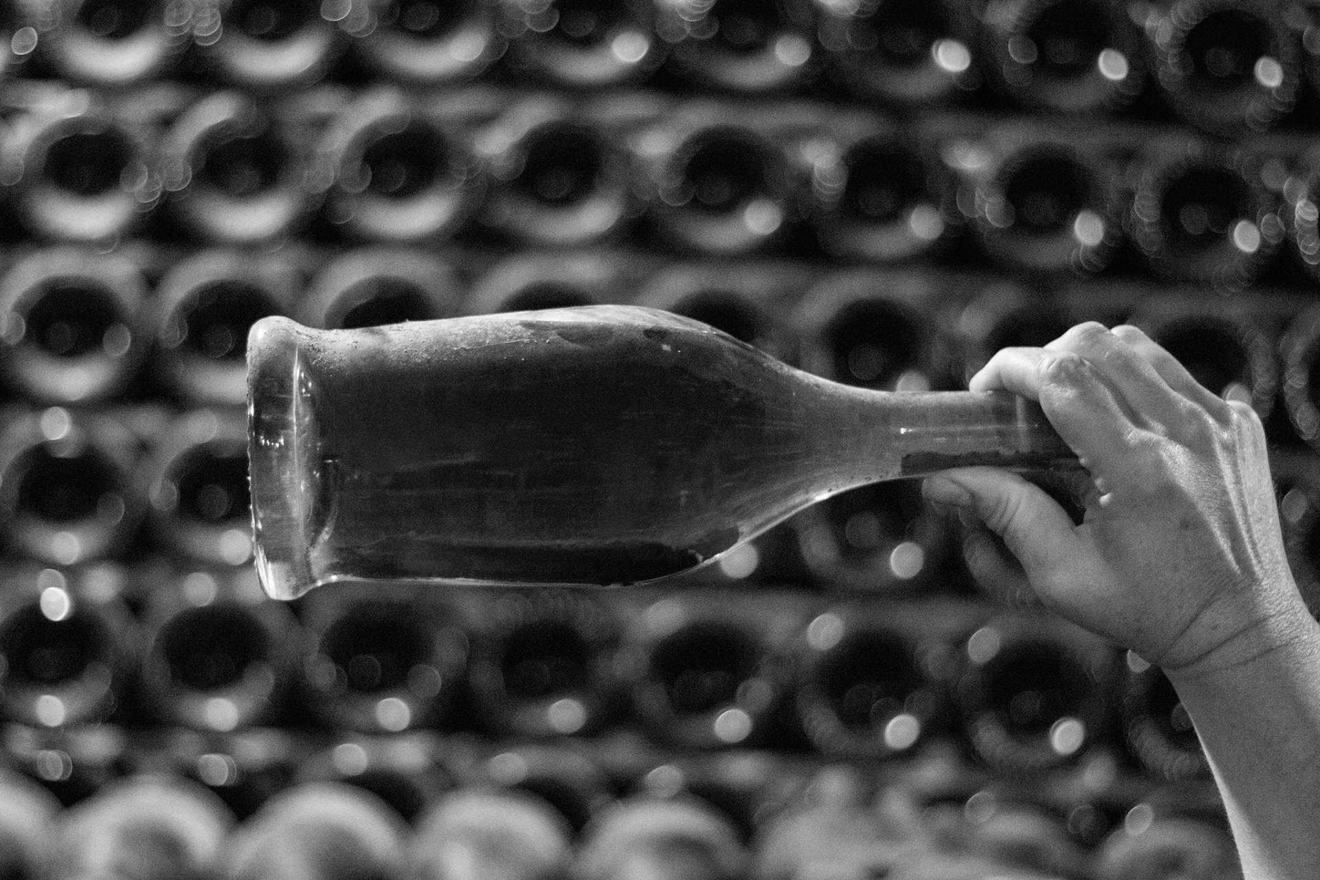Naturelovers Wines ofrece una selección de cava de alta calidad de Robert J. Mur