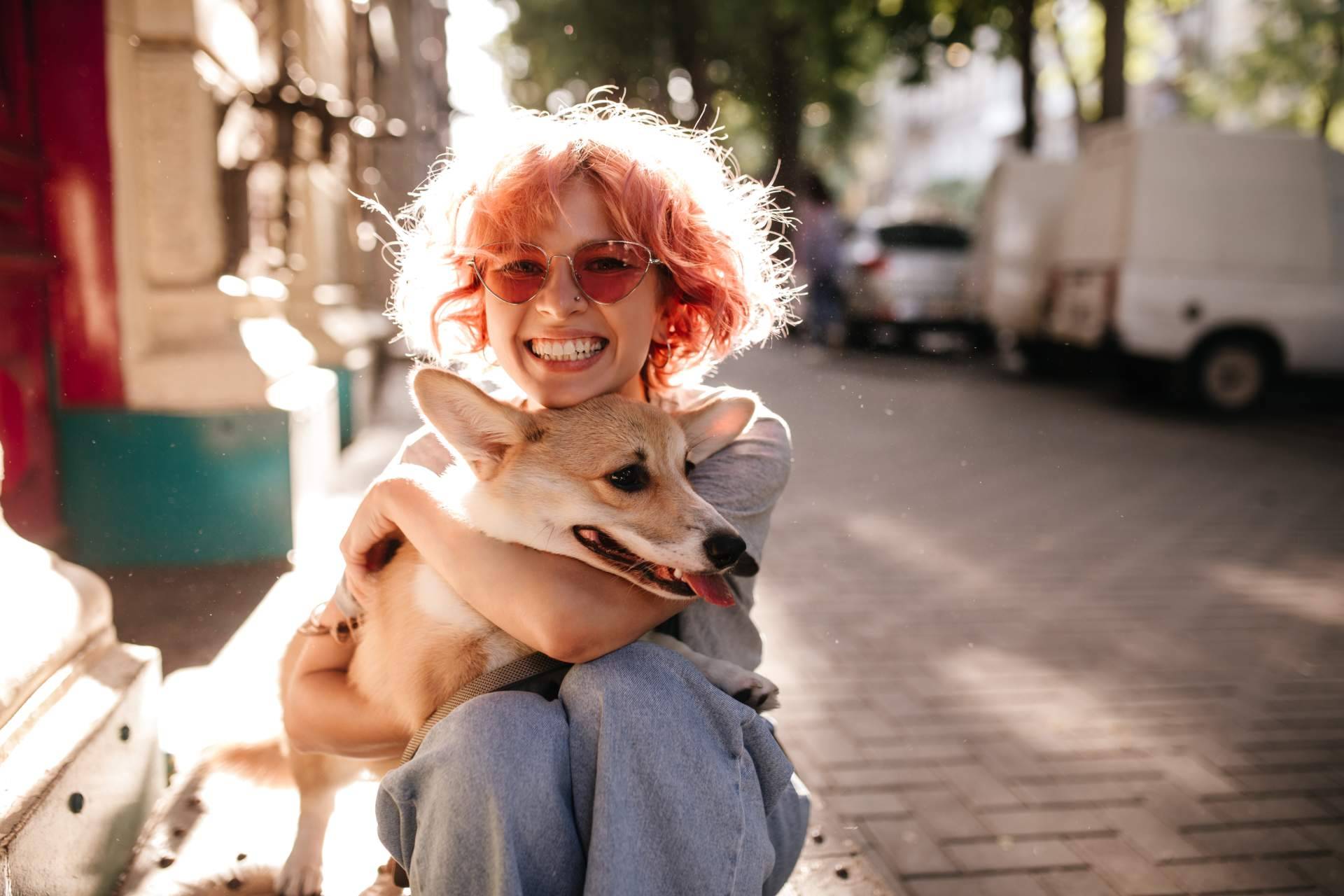 La vida de los animales abandonados está cambiando gracias a la plataforma gratuita para protectoras y asociaciones de animales