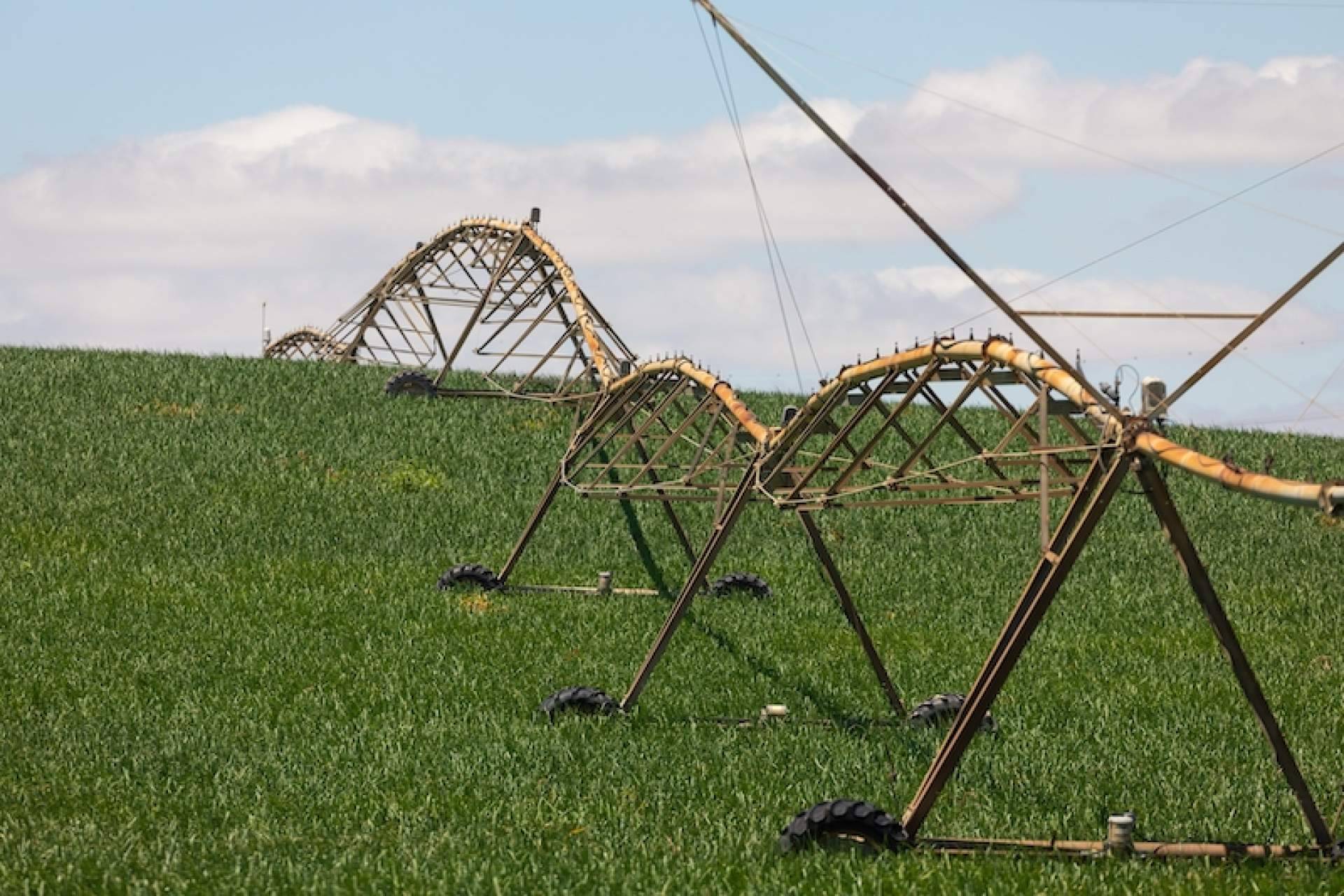 Significado y características de la agricultura extensiva