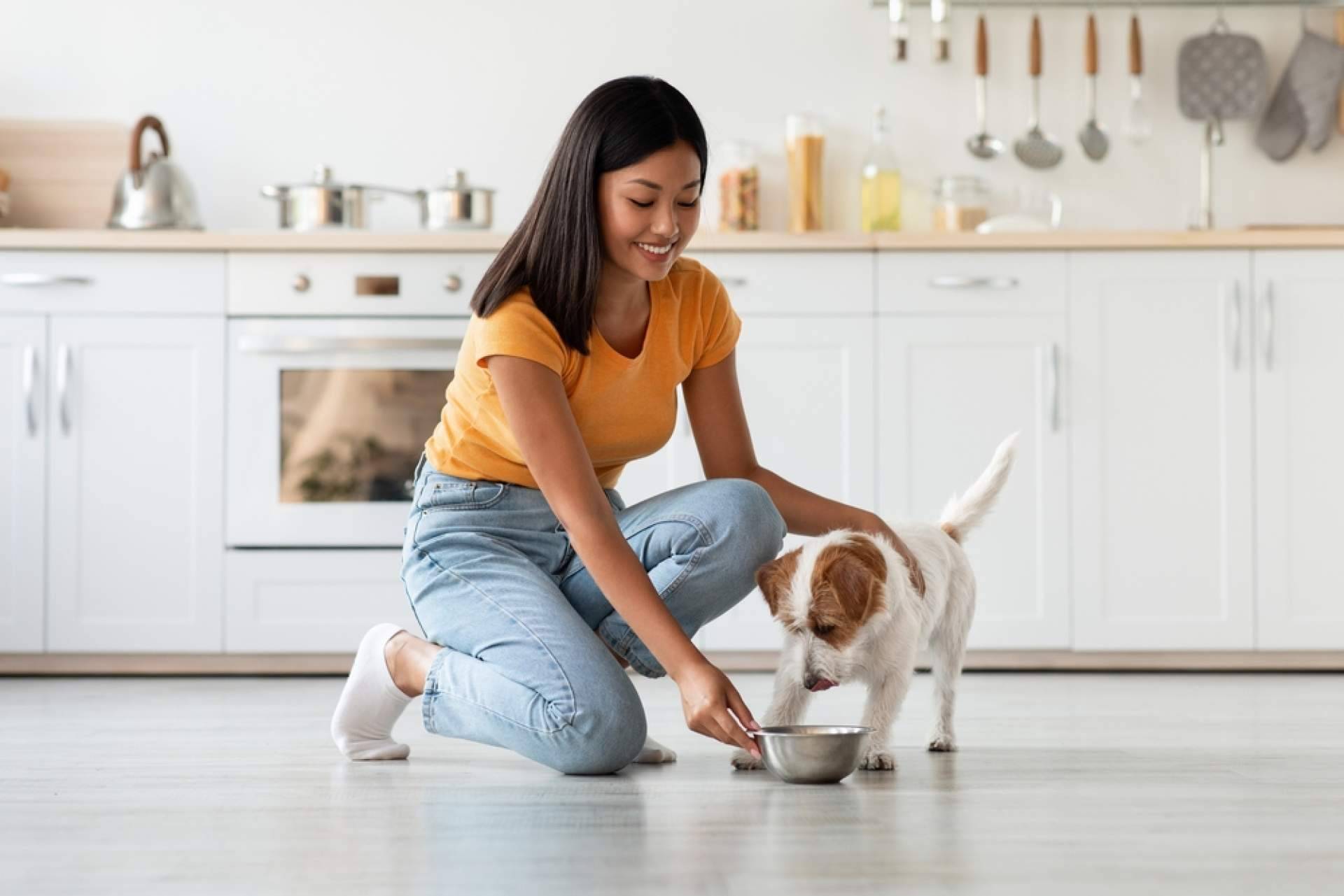 Para perros, pienso 100 % natural de Nutrikoa