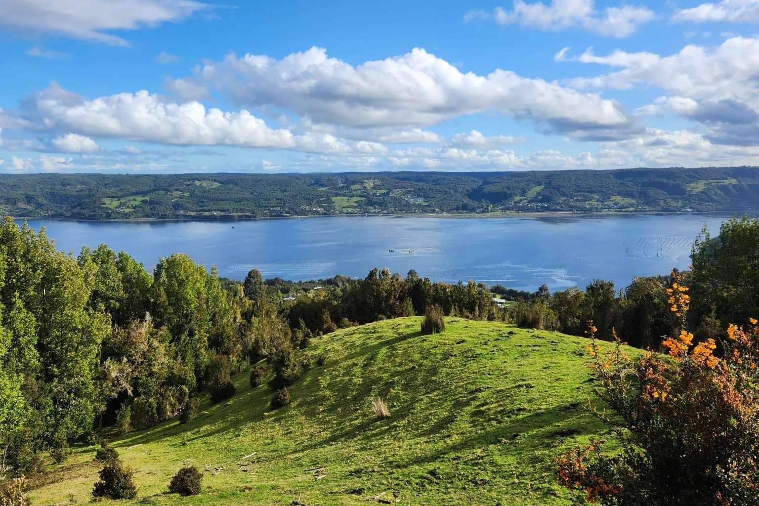 Latitudes Australes es uno de los grandes pioneros en la venta de proyectos de parcelas en el sur de Chile