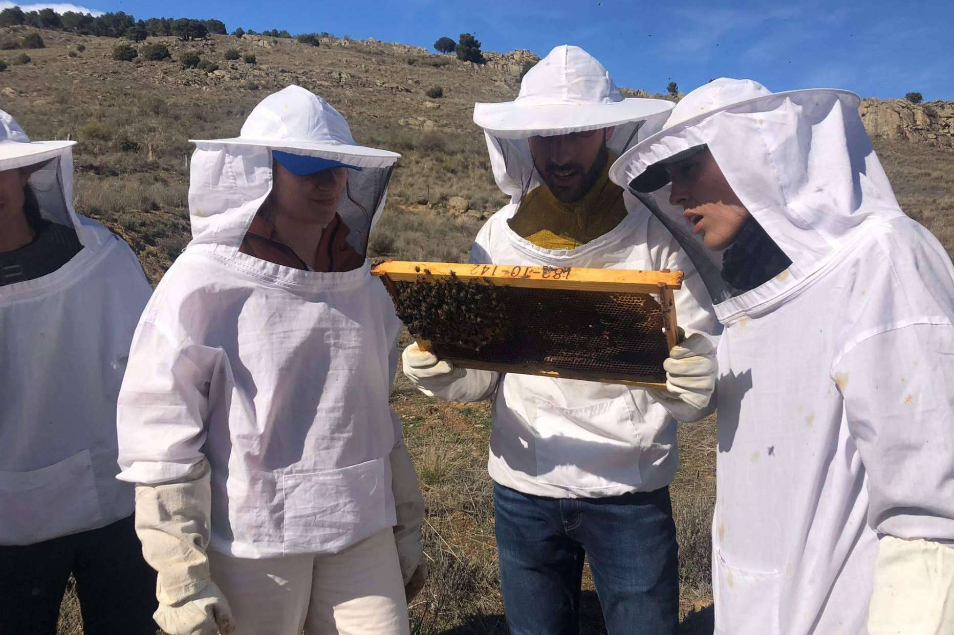 ¿En qué consiste la apiterapia con apitoxina?, por Cursos Apicultura