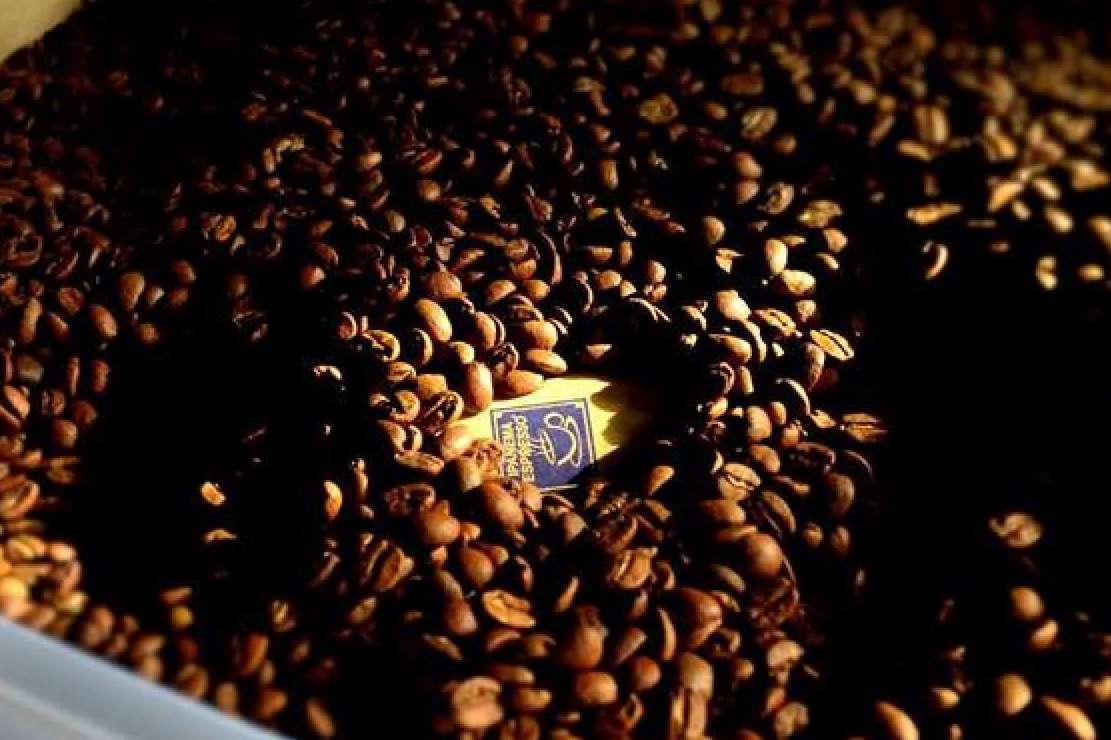 El café de alta calidad y alquiler de máquinas para empresas de Fresh Ocs