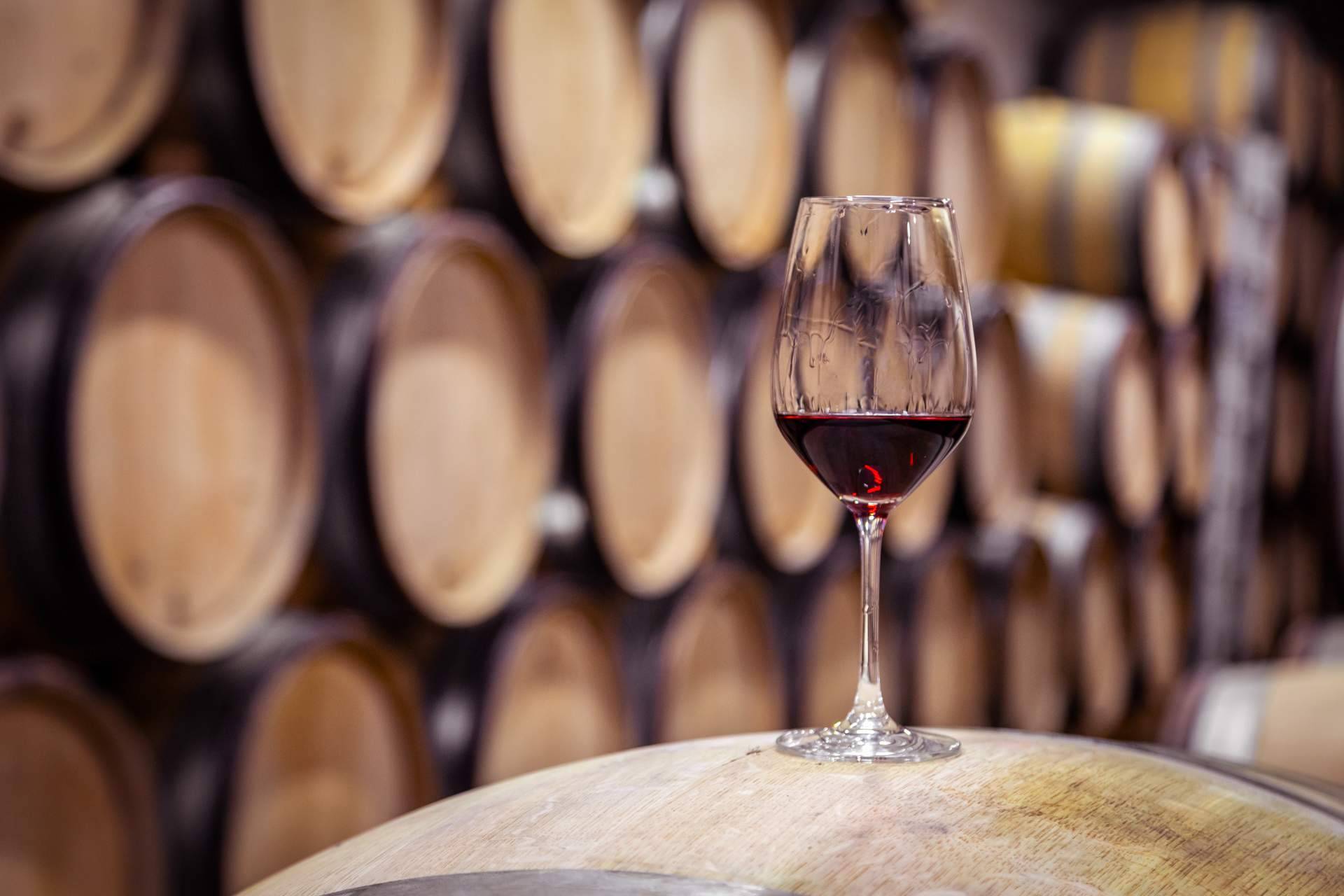 Certitec presenta un ERP vitivinícola específico para bodegas