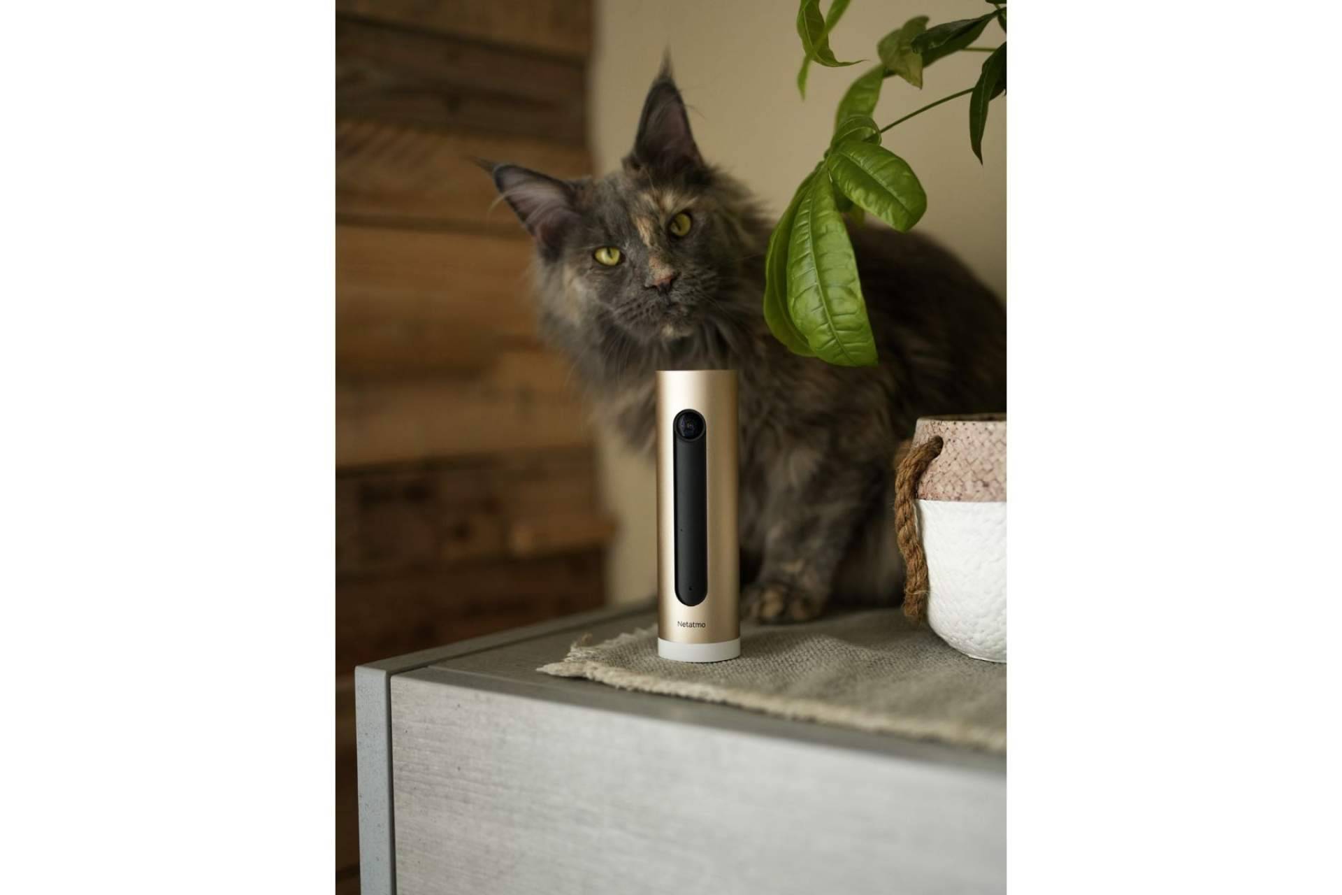 Netatmo presenta algunas de las mejores cámaras de seguridad del mercado