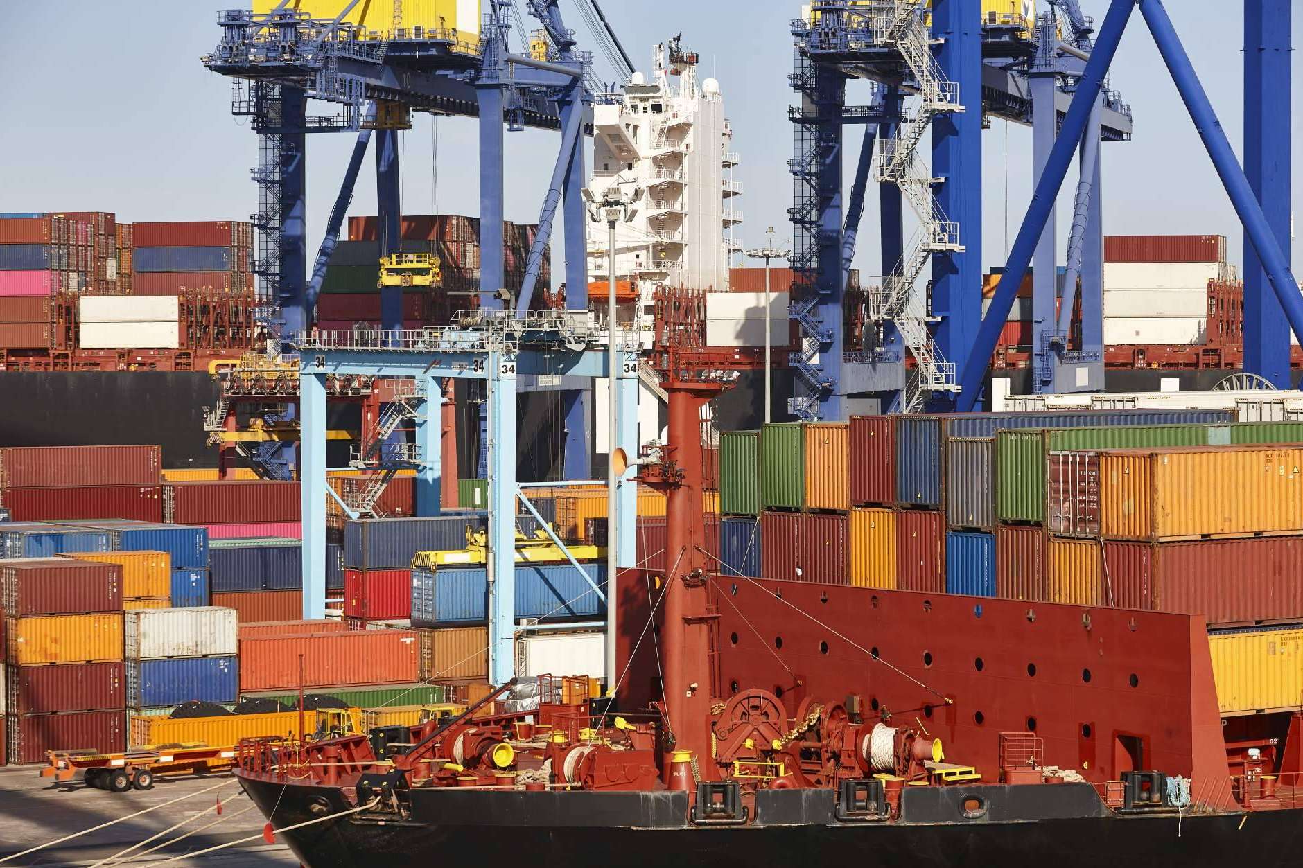La importancia del control de plagas en las mercancías del transporte marítimo
