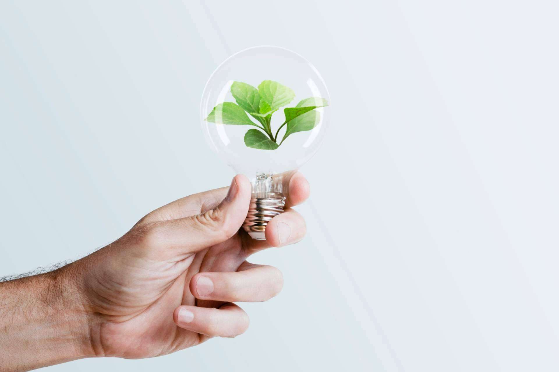 Sinergia Sostenible, soluciones de eficiencia energética en Granada