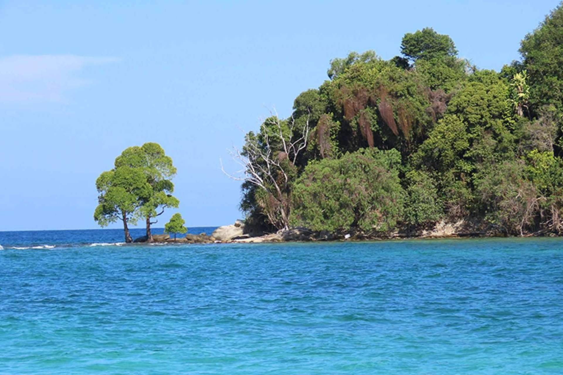 Descubriendo el encanto de Sabah, Borneo en otoño. ¿Cuáles son las ventajas de una escapada en esta temporada?