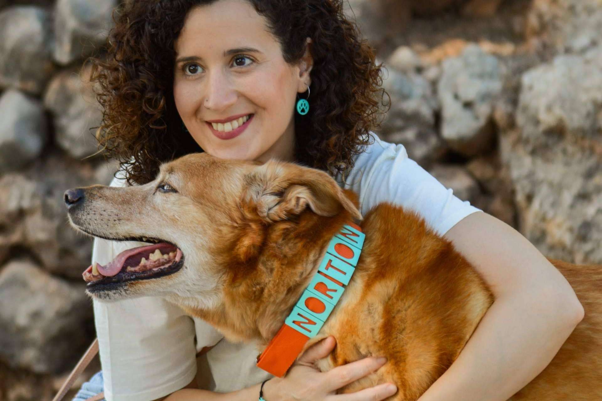 Proteger a la mascota con los collares y chapas personalizadas de Seron