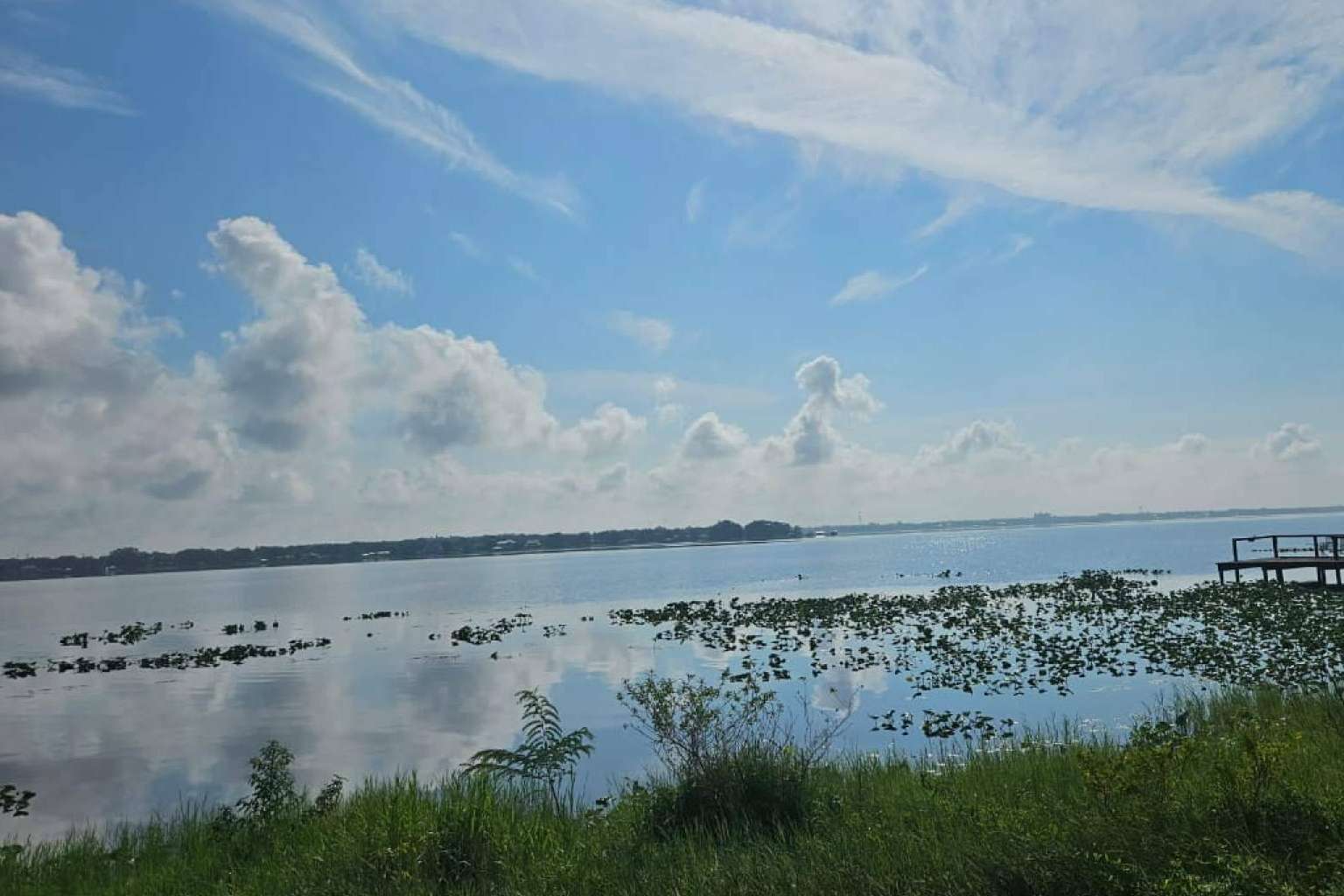 Recomendaciones a considerar antes de invertir en terreno en Florida, por Vista Imark