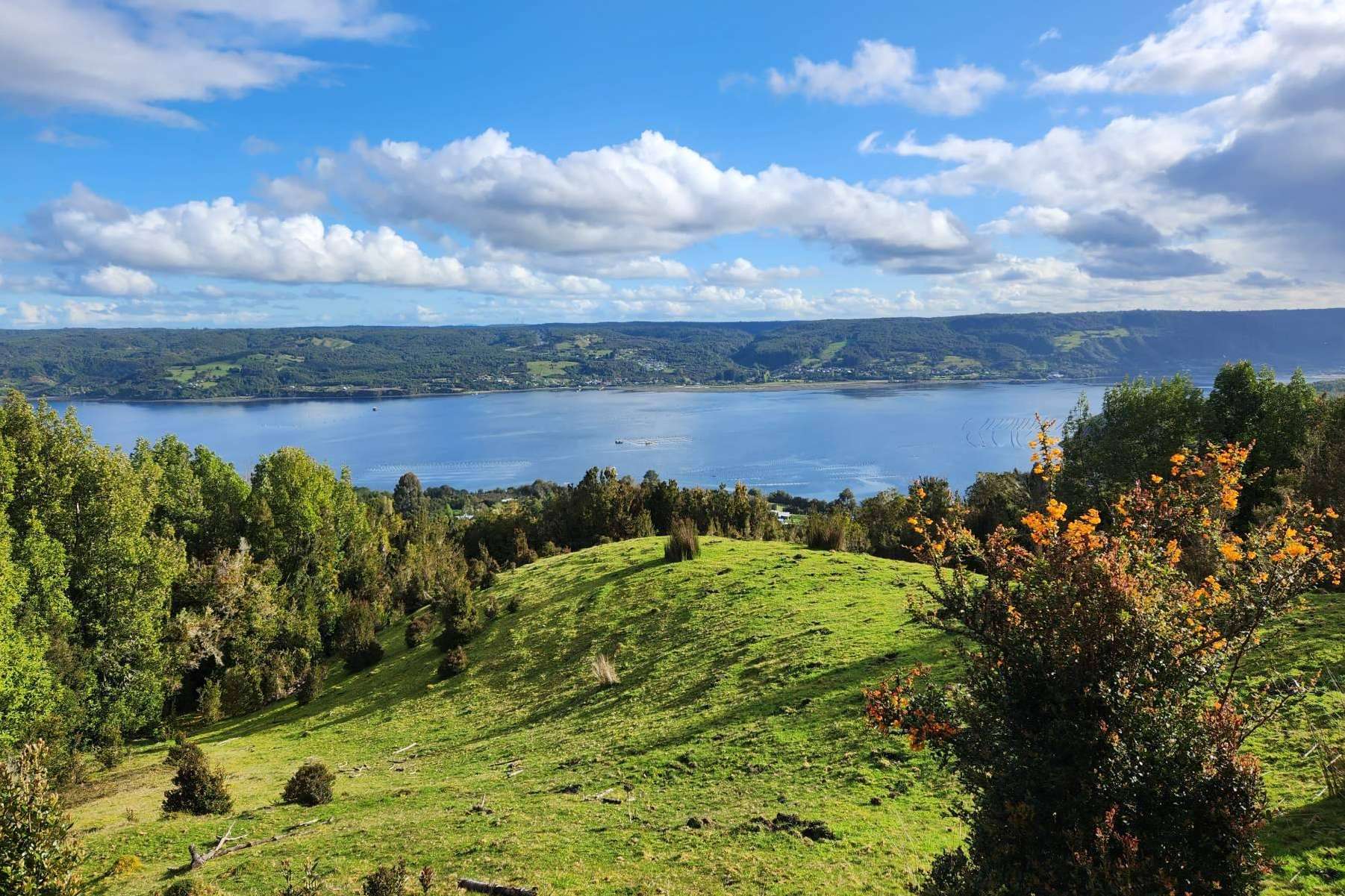 Chiloé, la gran opción de inversión inmobiliaria por su potencial turístico y cultural