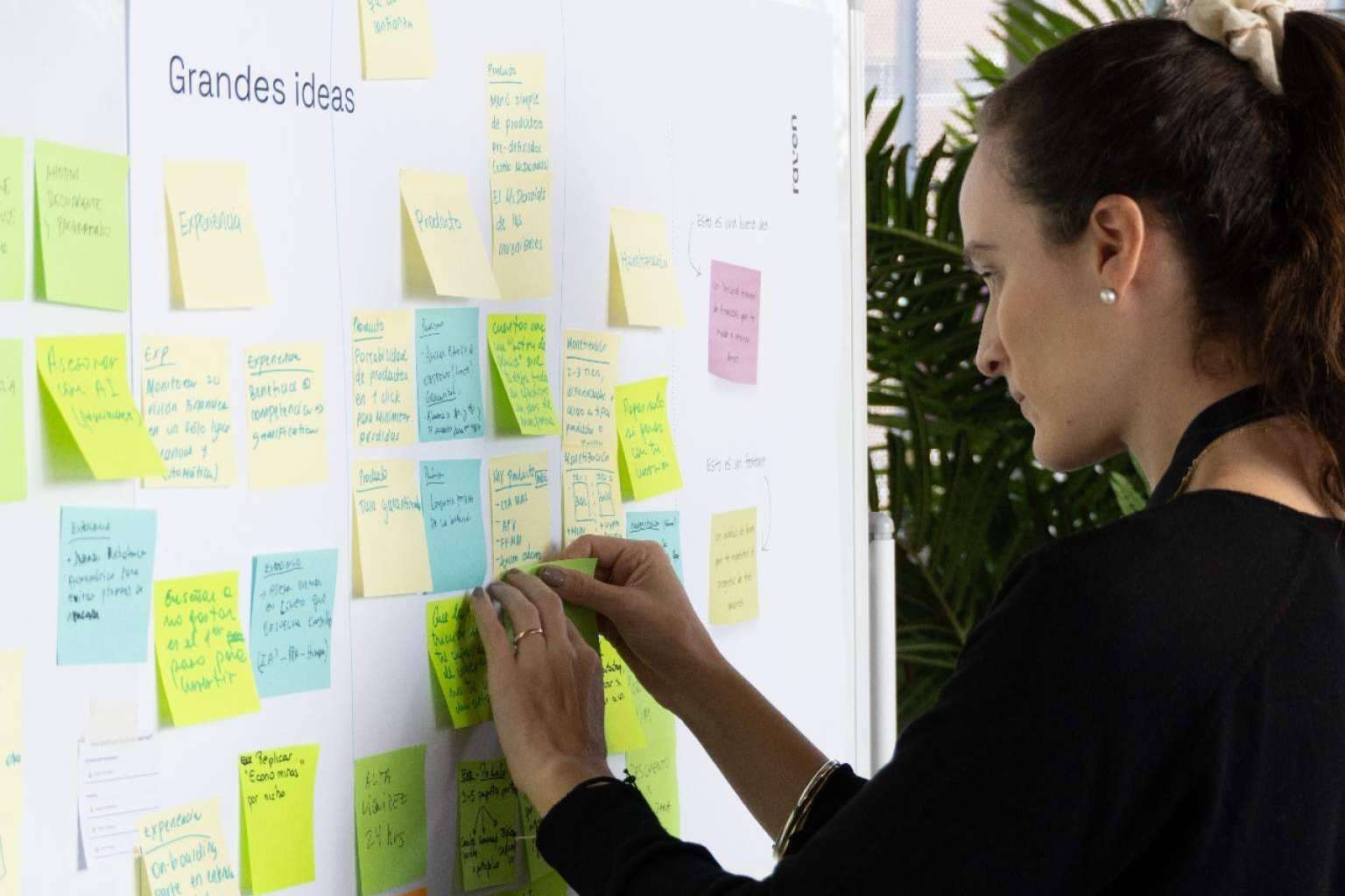 Raven, especialistas en business design