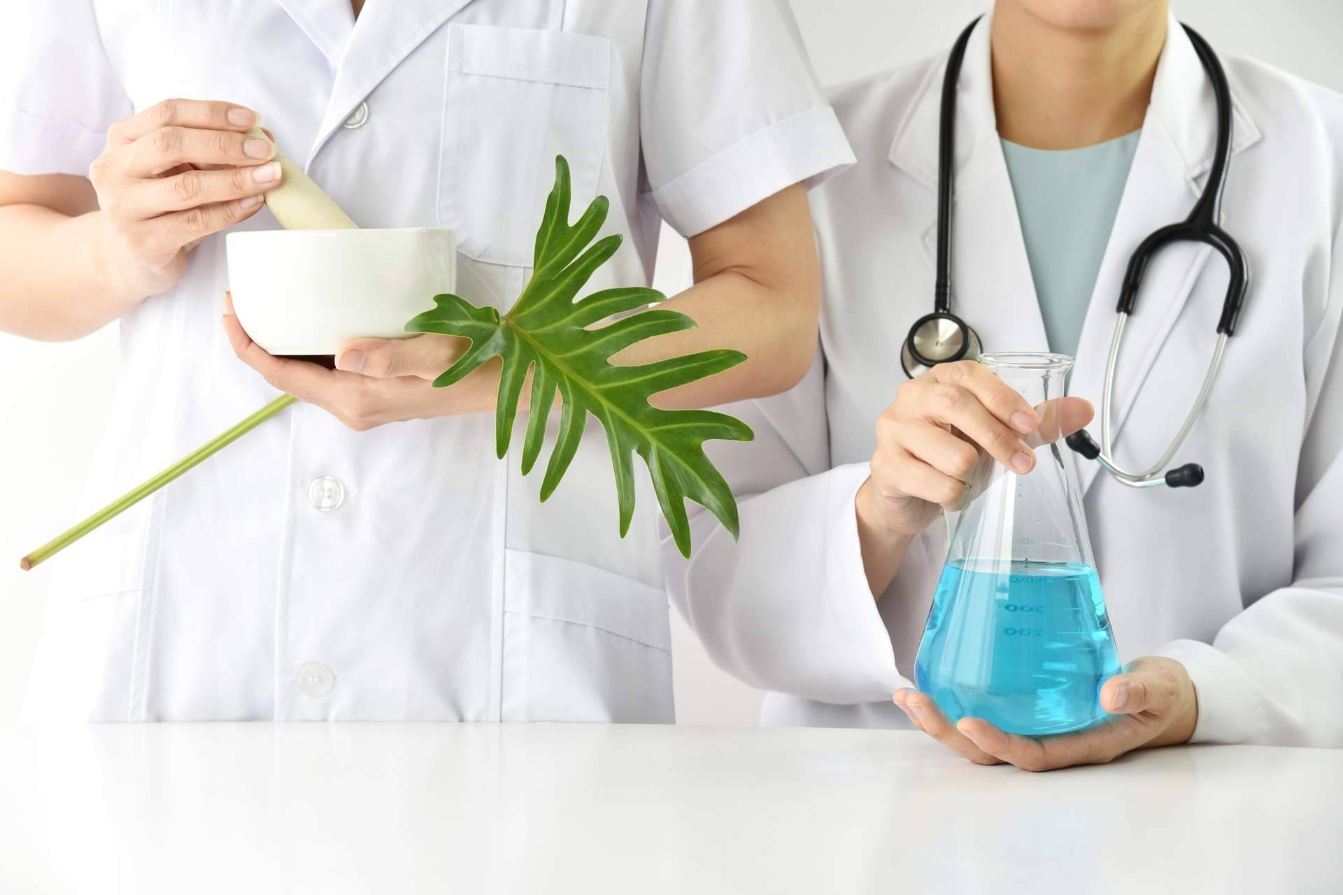 Un análisis profundo de la Medicina de la Integridad