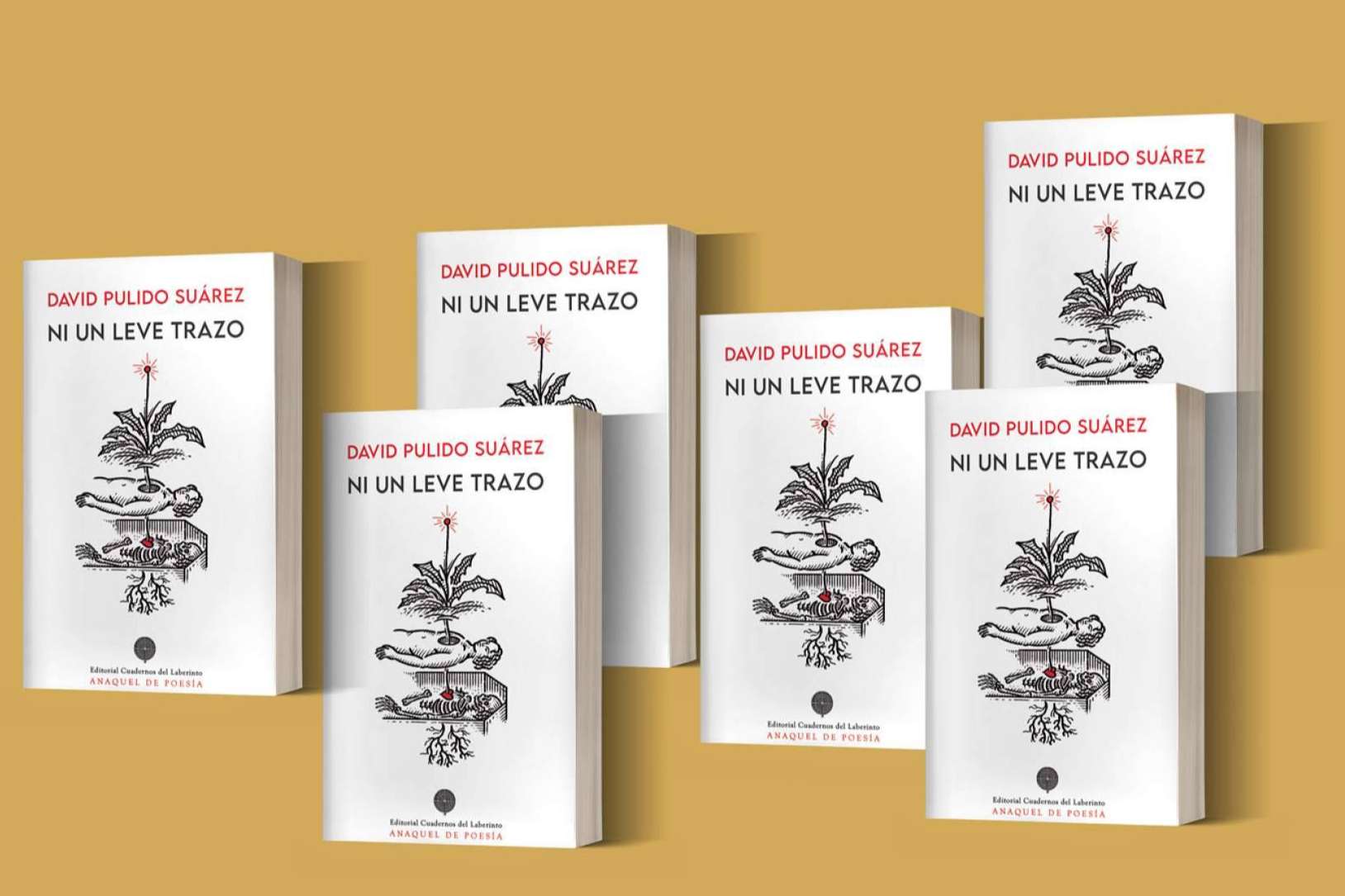 David Pulido, ‘la lectura como la escritura multiplican nuestras posibles versiones existenciales’. Entrevista al autor de ‘Ni un leve trazo’
