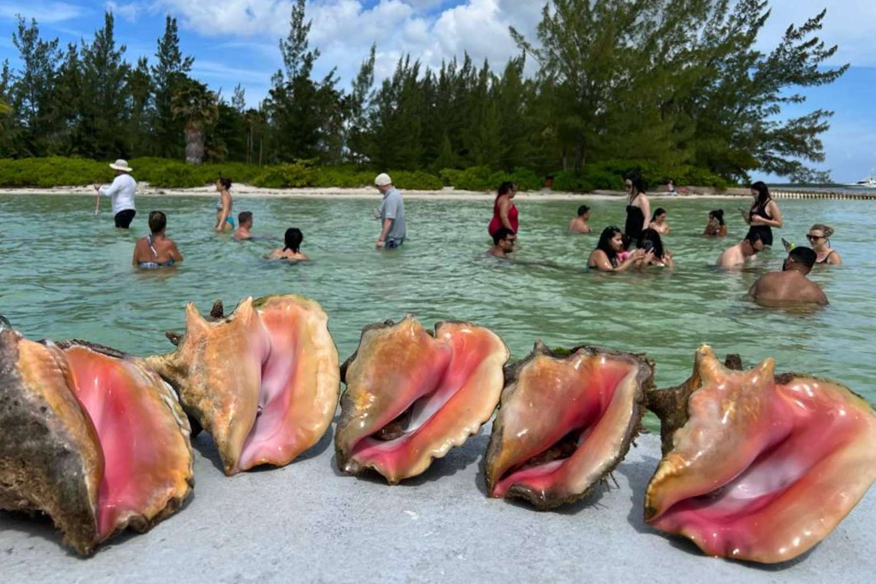 Cayman Ocean Adventures y sus paquetes turísticos para disfrutar de las Islas Caimán
