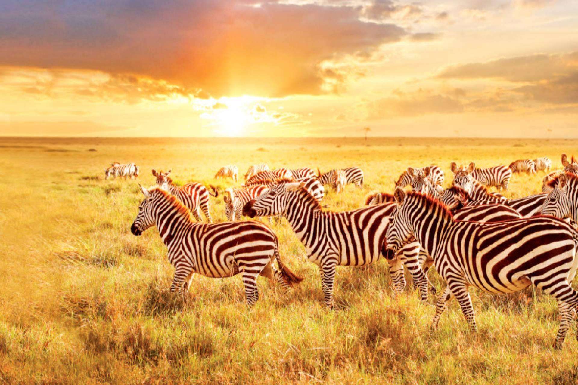 Gran viaje por África desde Barcelona con la naviera de lujo Seabourn